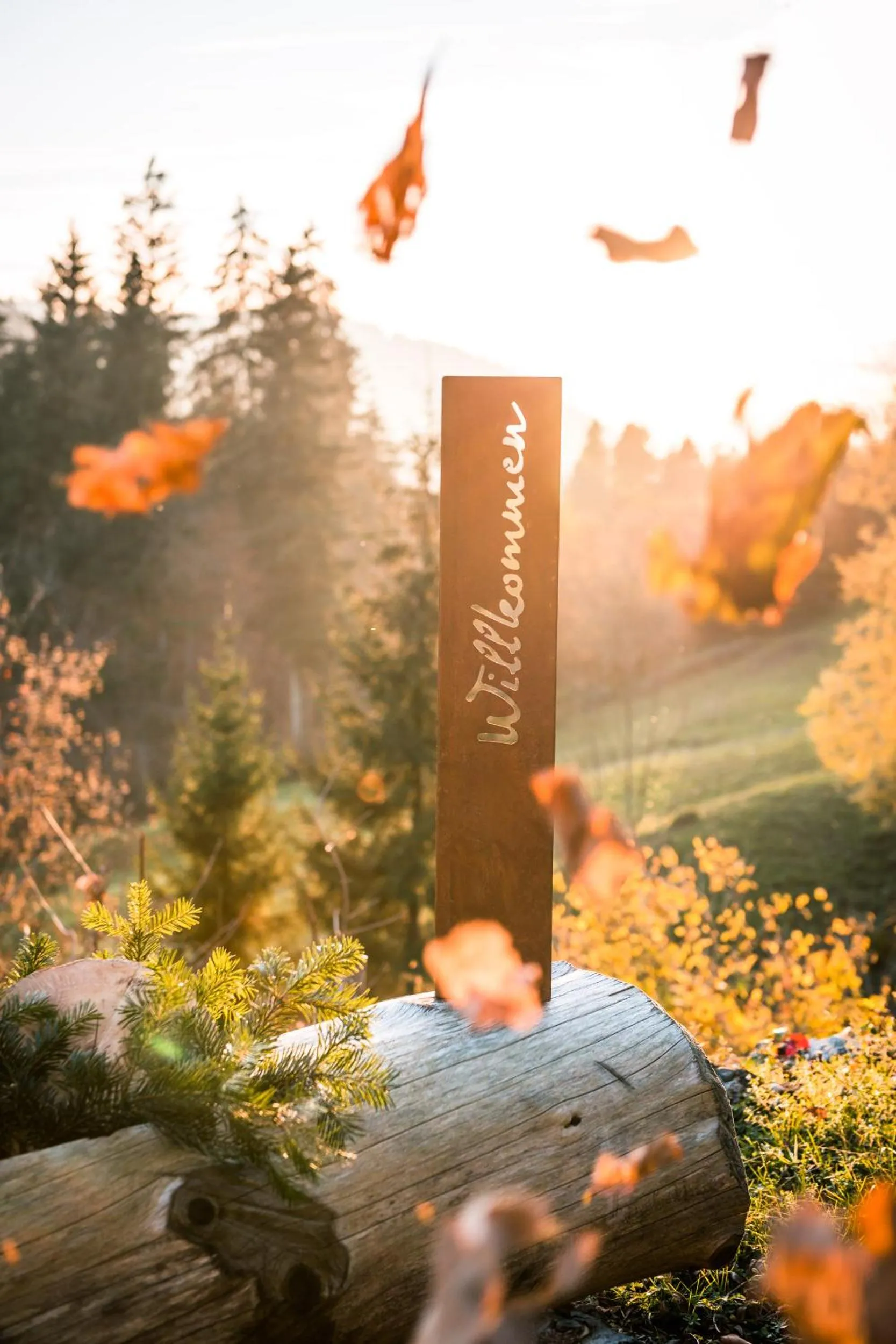 View (from property/room) in Hotel Bad Rain mit Oberstaufen PlusGolf