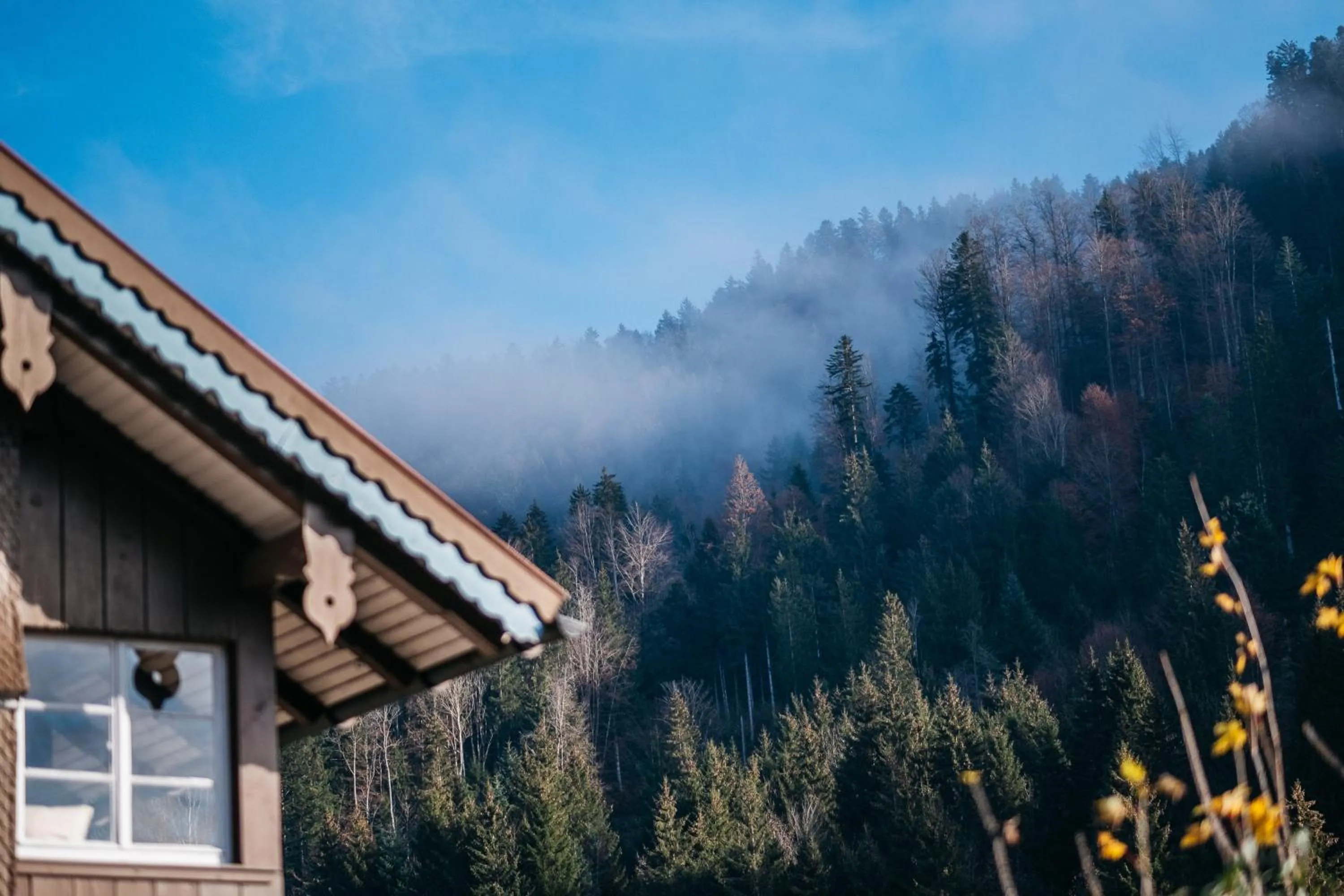 Area and facilities in Hotel Bad Rain mit Oberstaufen PlusGolf