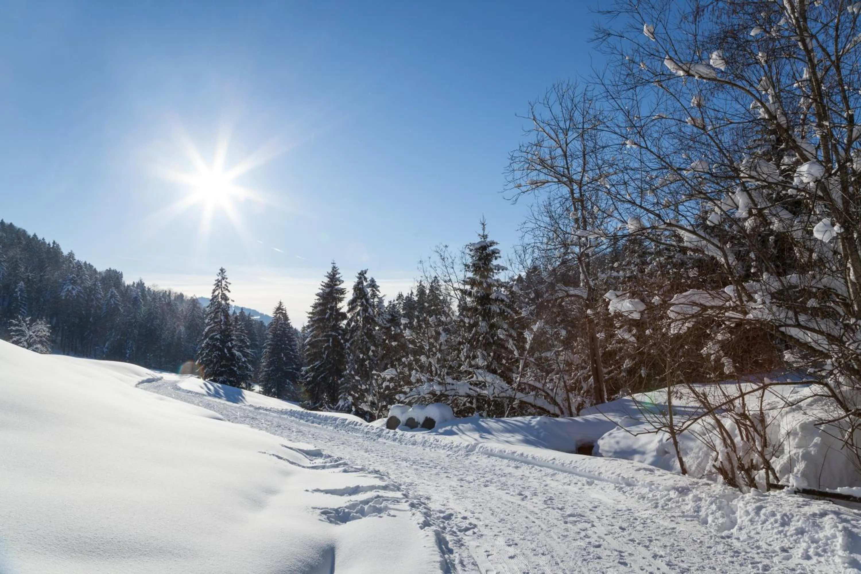 Day in Hotel Bad Rain mit Oberstaufen PlusGolf
