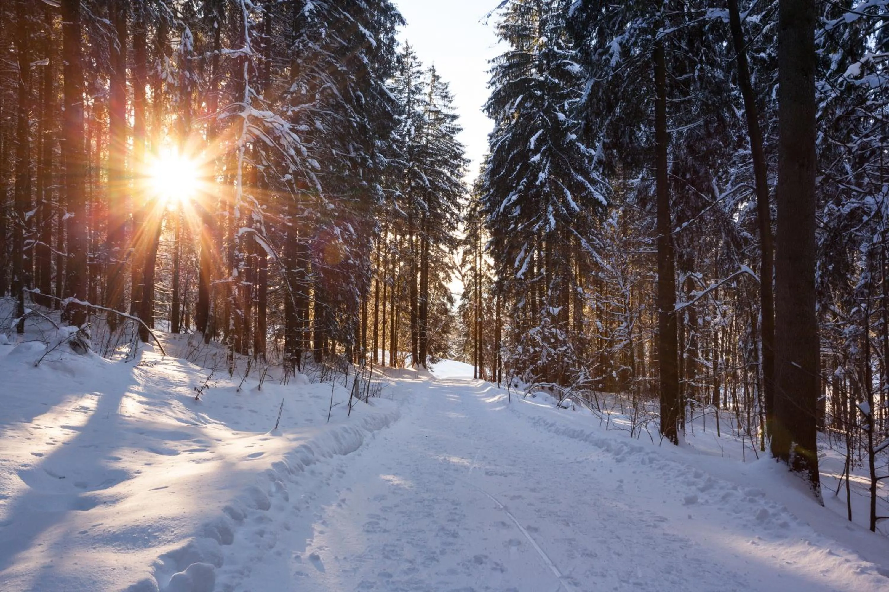 Off site in Hotel Bad Rain mit Oberstaufen PlusGolf