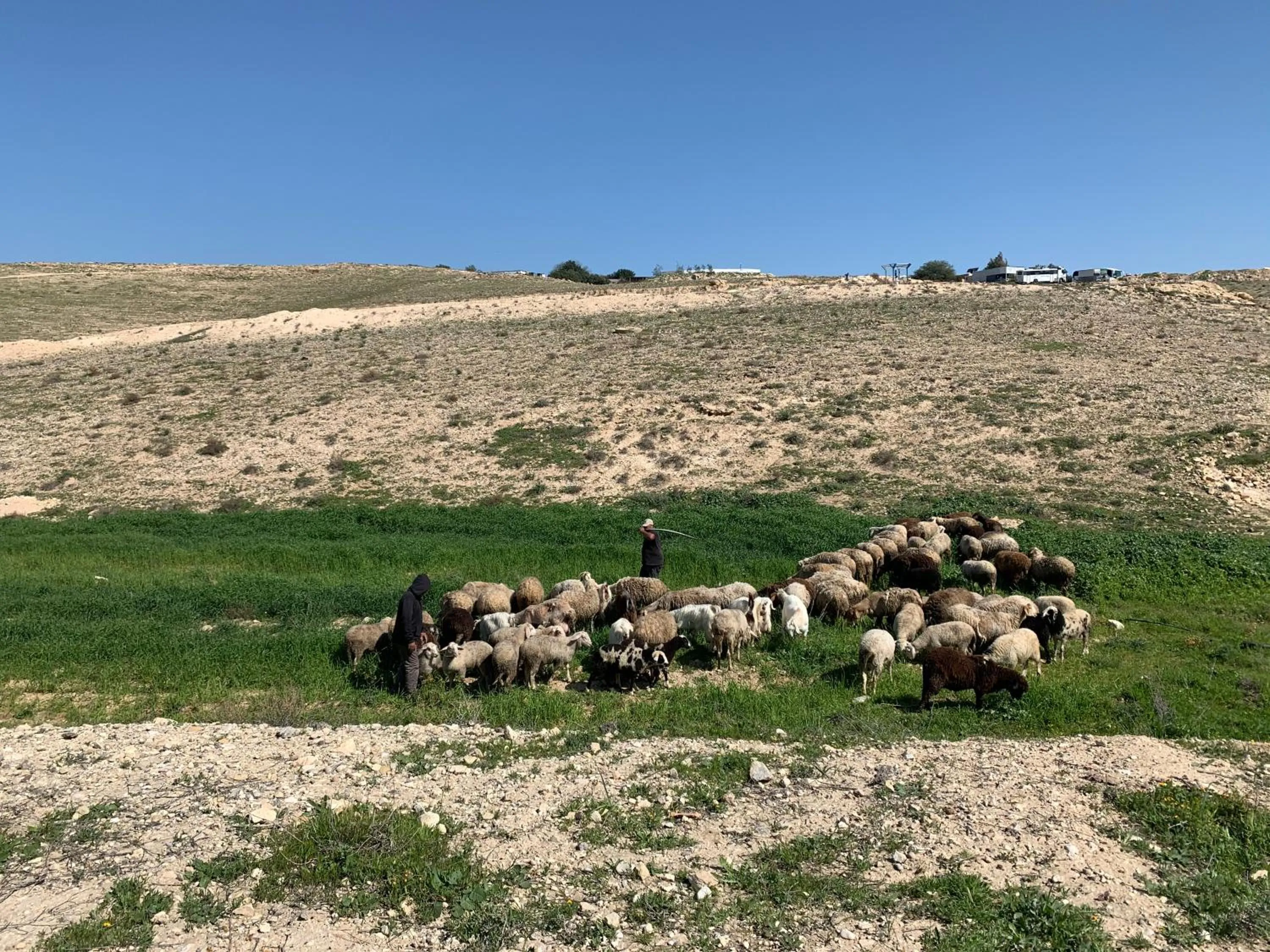 Hiking in Khan Alsira - חאן אלסרה