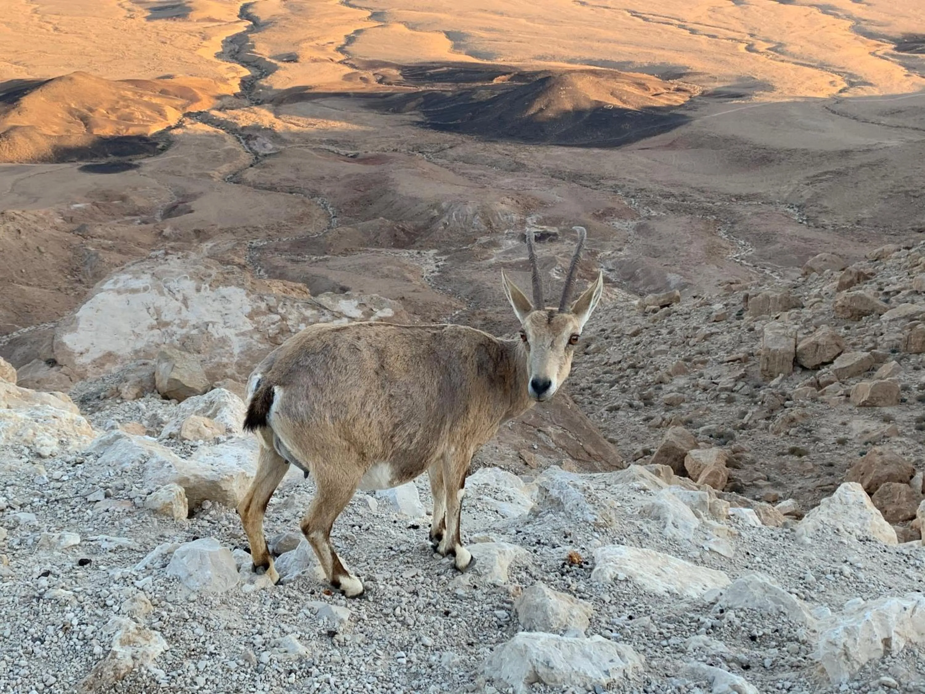 Hiking in Khan Alsira - חאן אלסרה