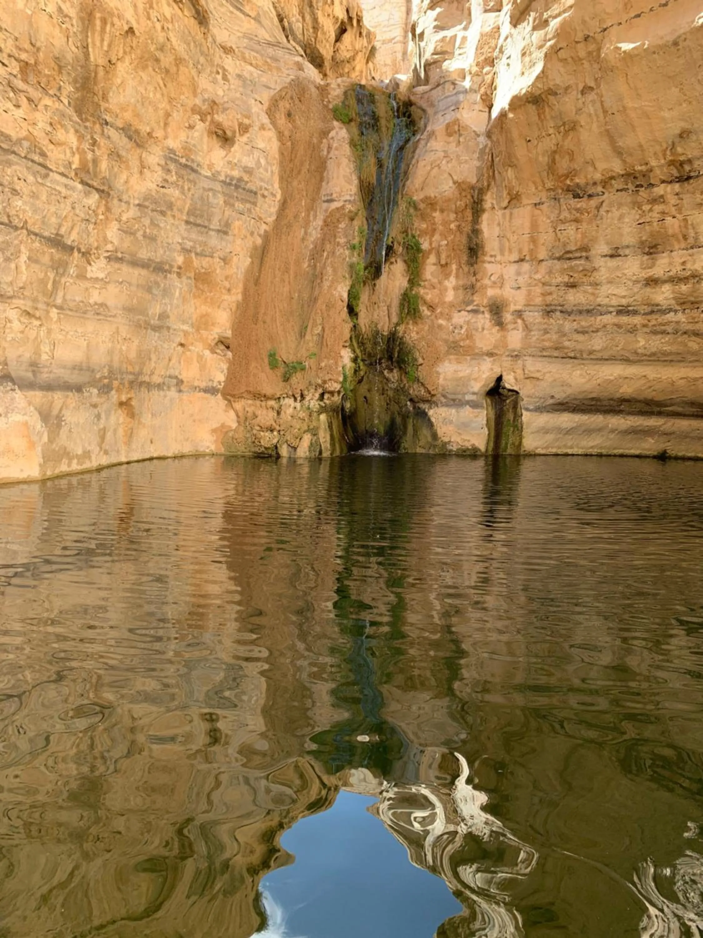 Hiking in Khan Alsira - חאן אלסרה