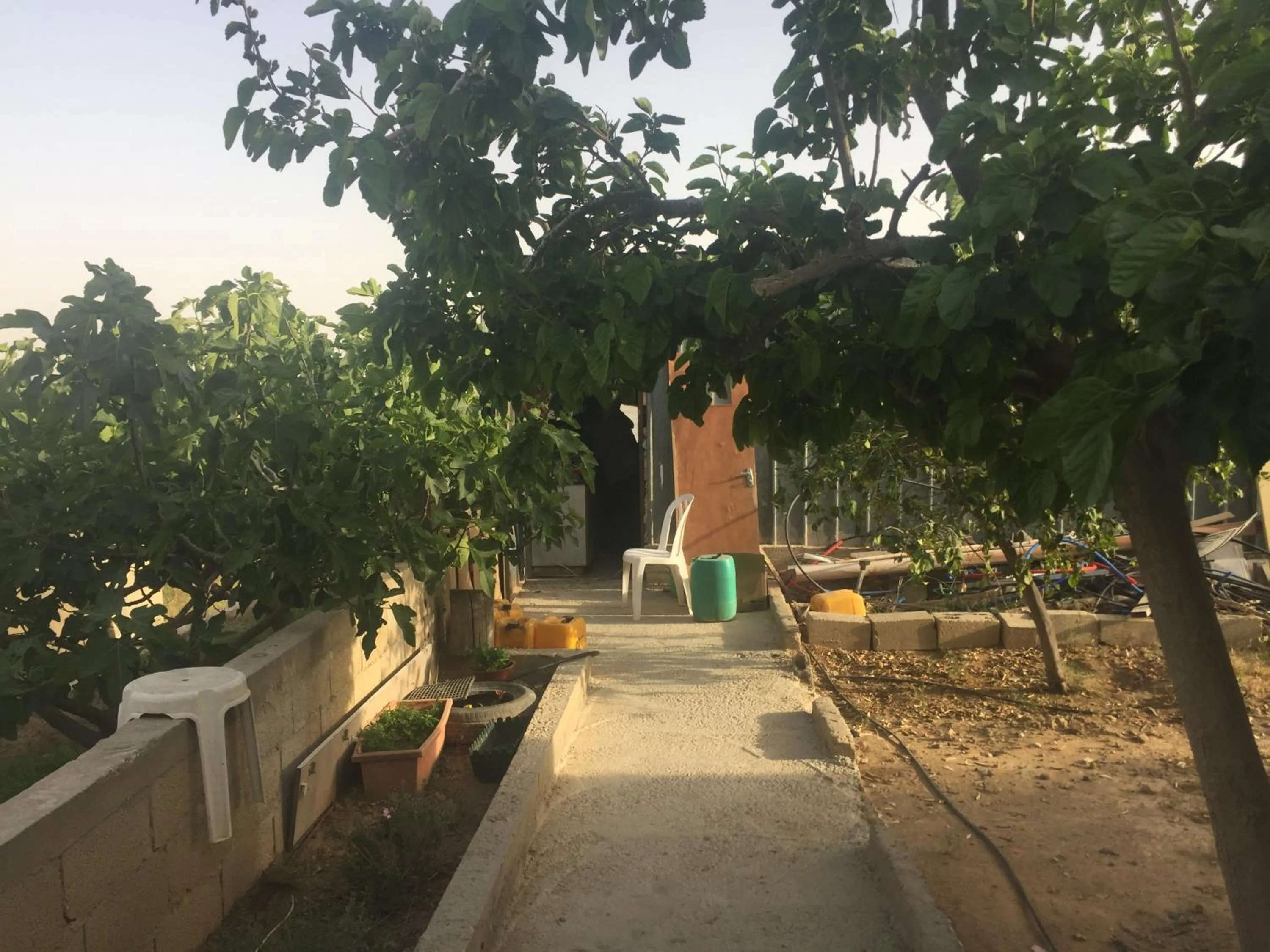 Spring in Khan Alsira - חאן אלסרה