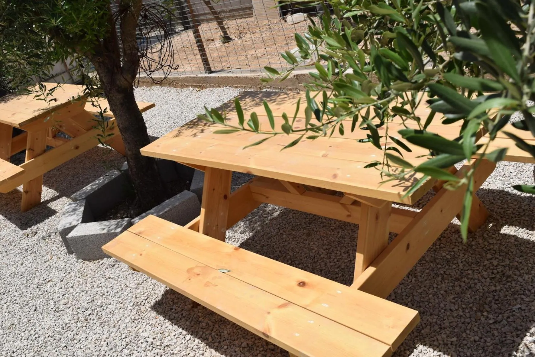 Garden in Khan Alsira - חאן אלסרה