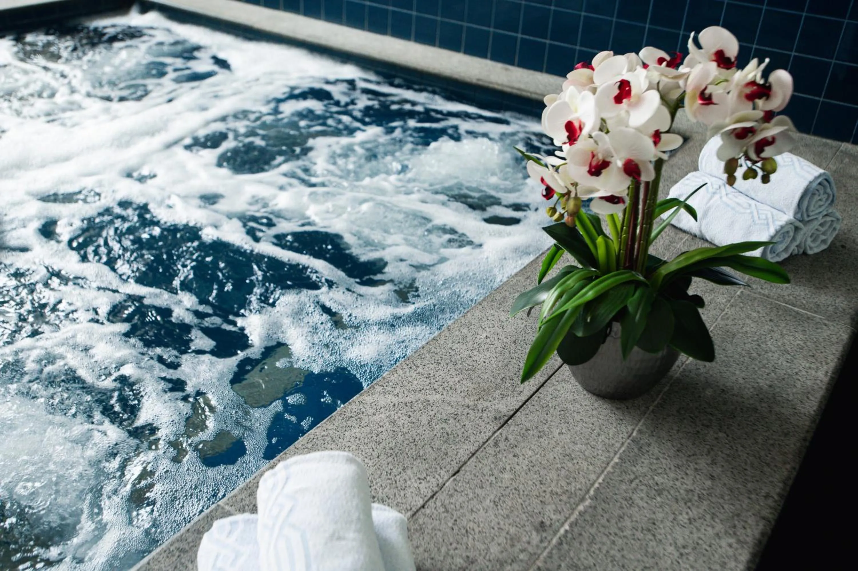 Swimming pool in H2 Platinum Lourdes