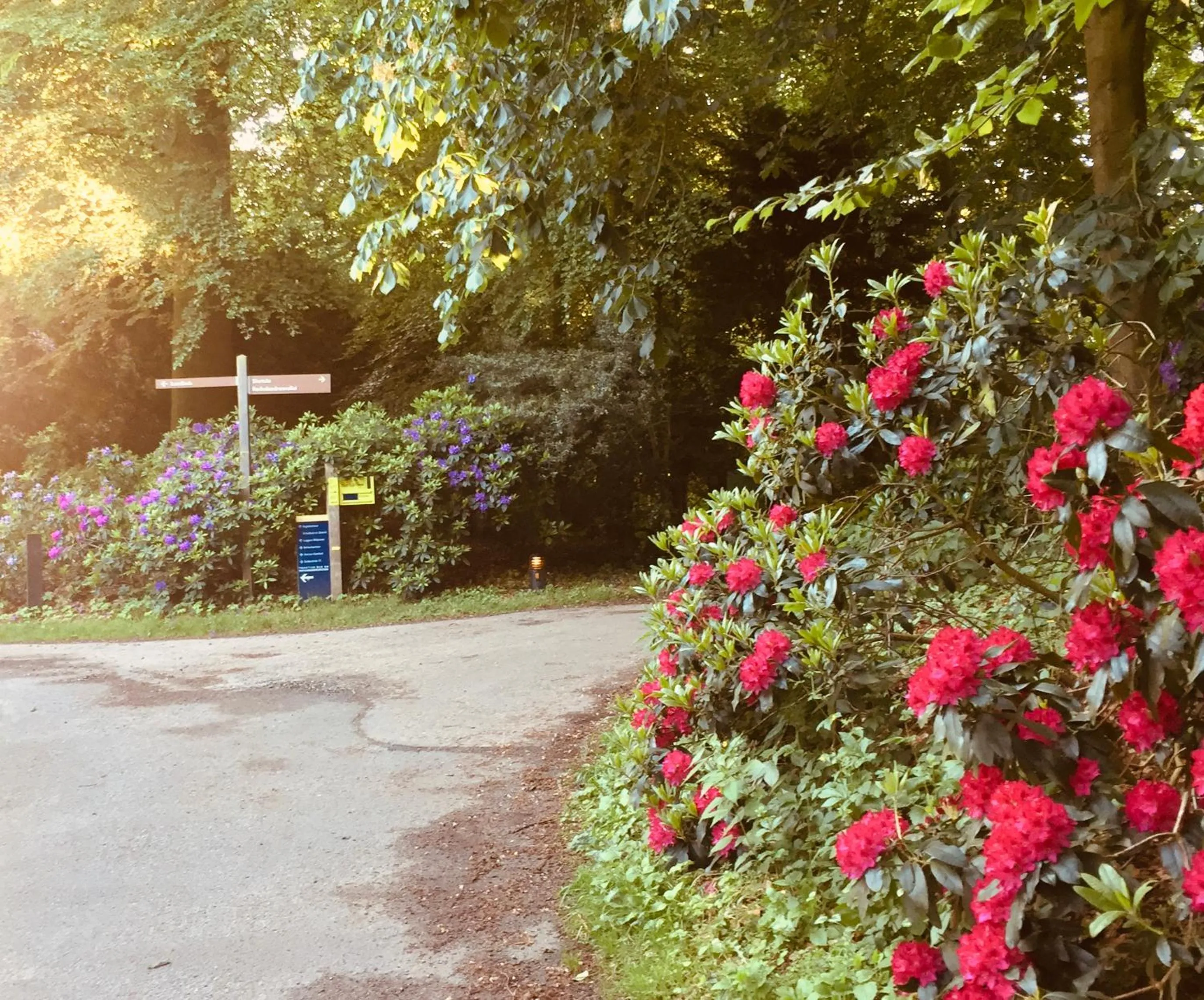 Garden in Art+bed and breakfast