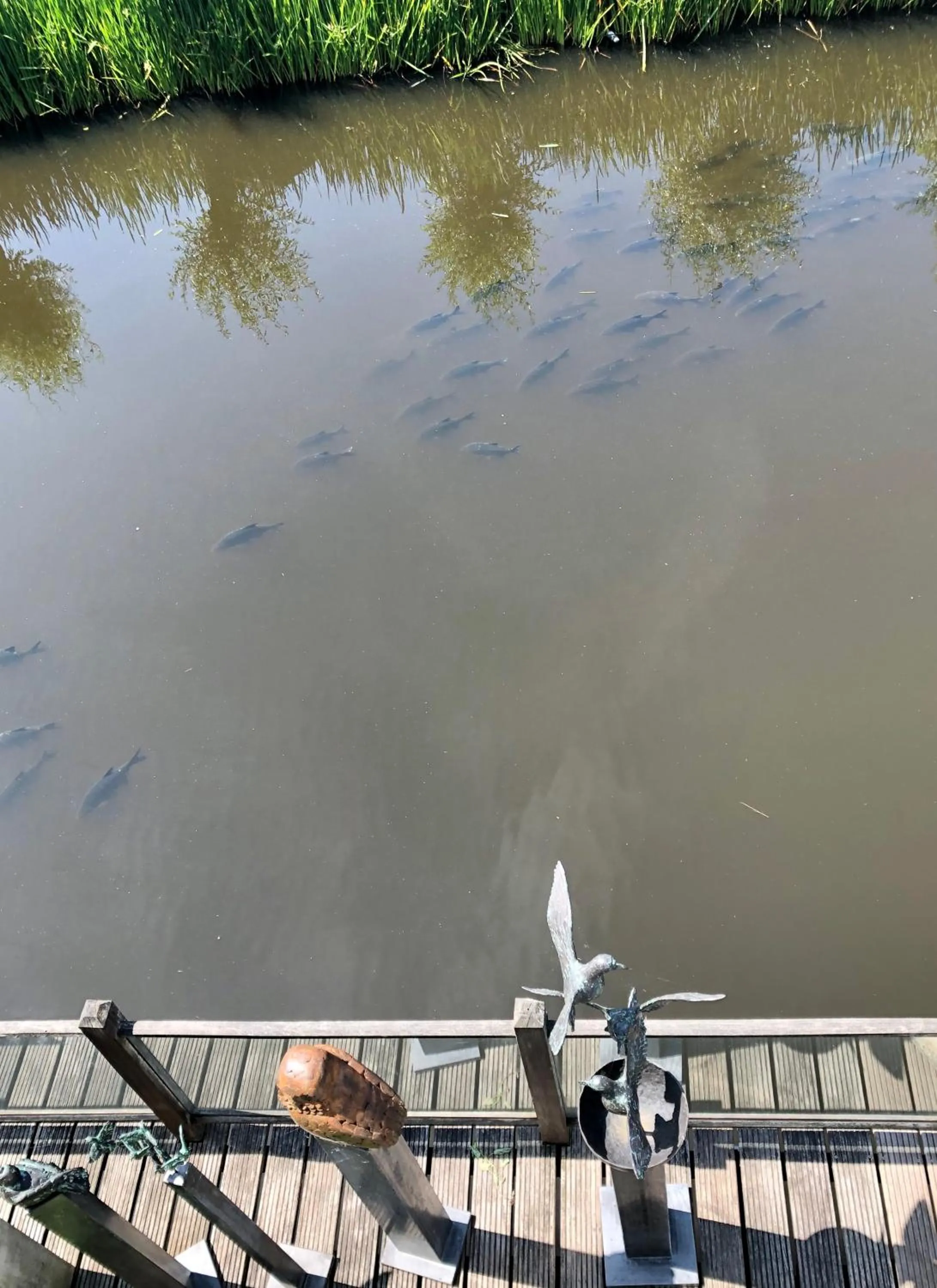 Fishing in Art+bed and breakfast