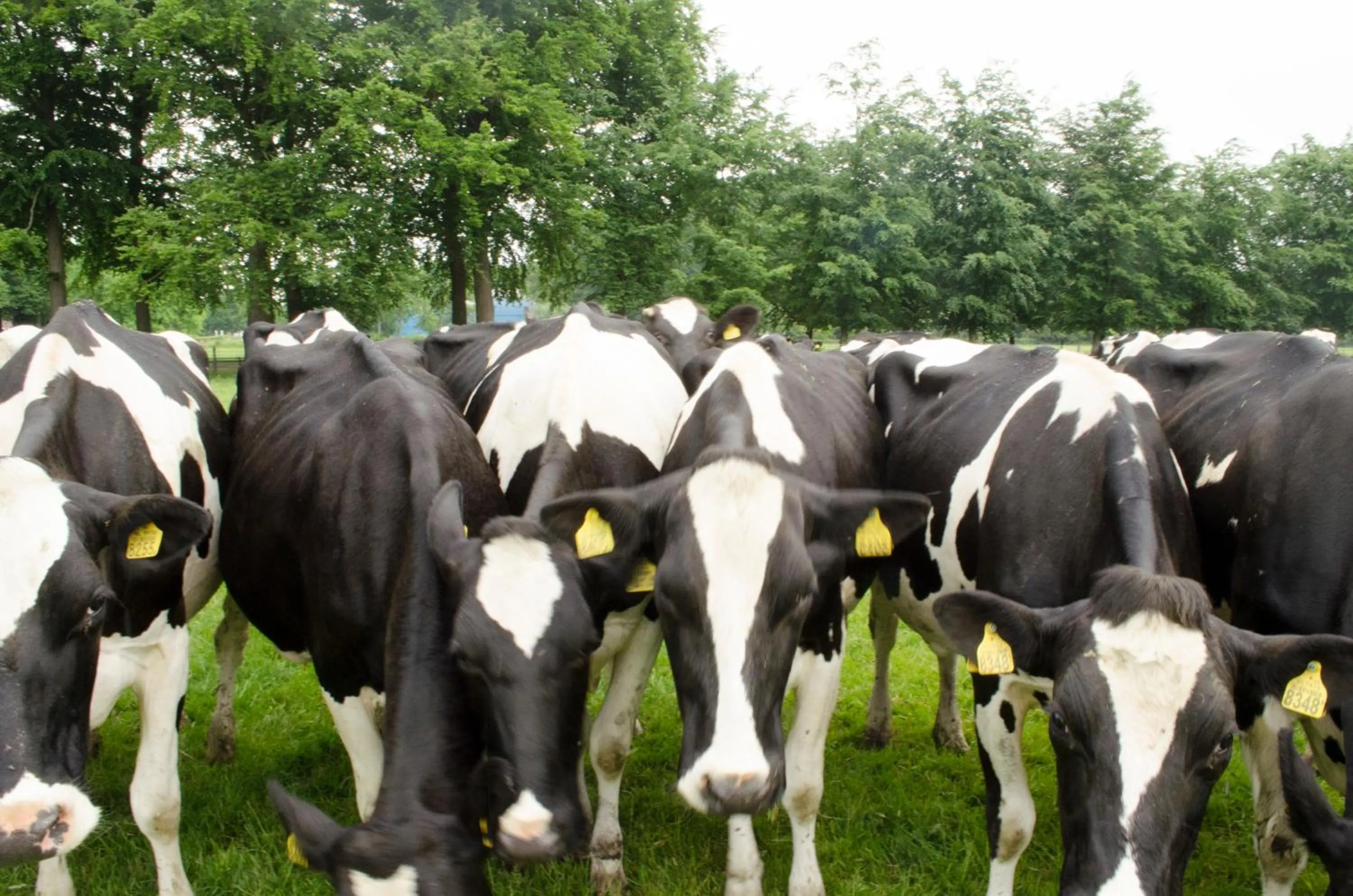 Property building in Art+bed and breakfast