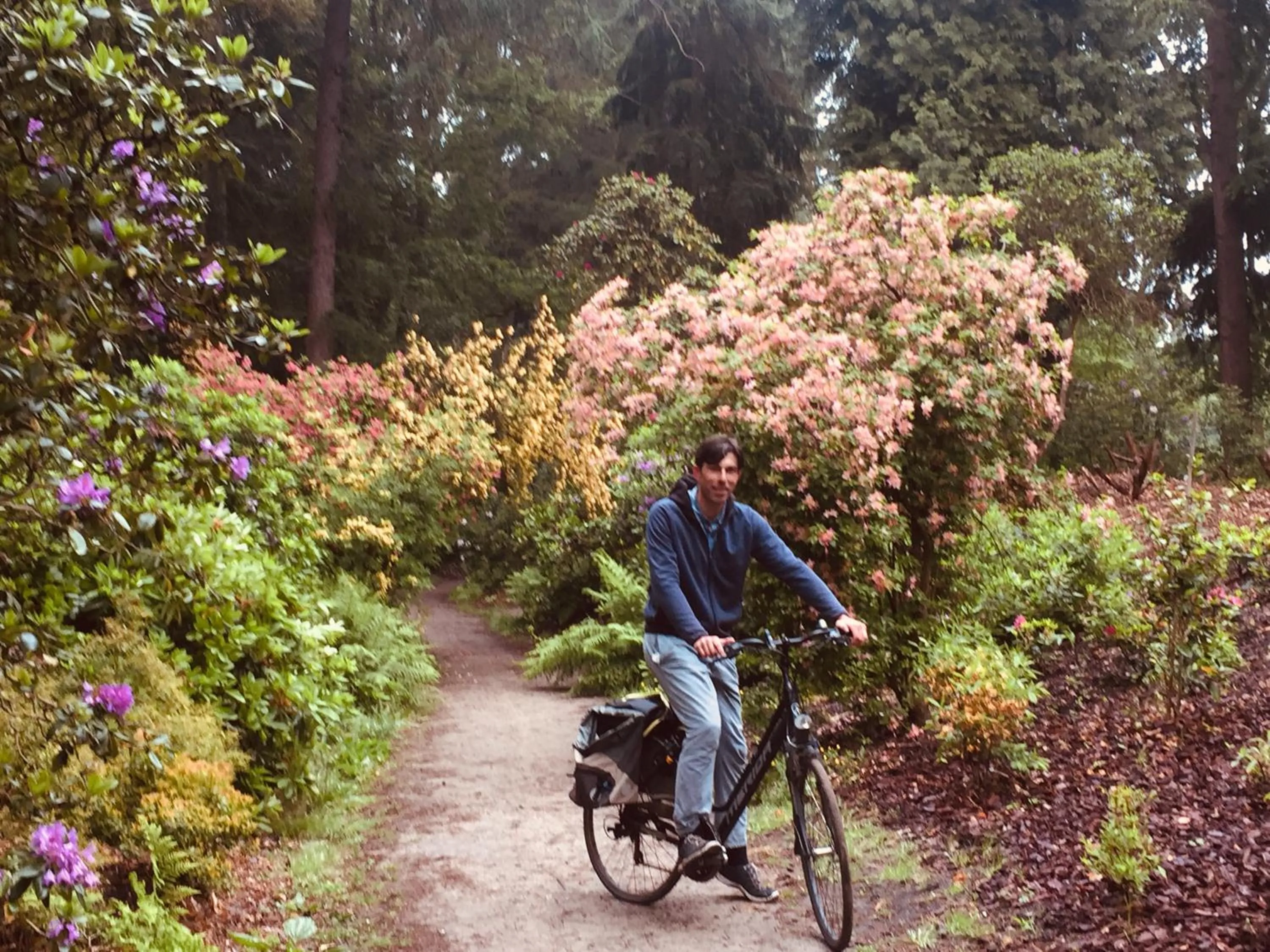 Cycling in Art+bed and breakfast