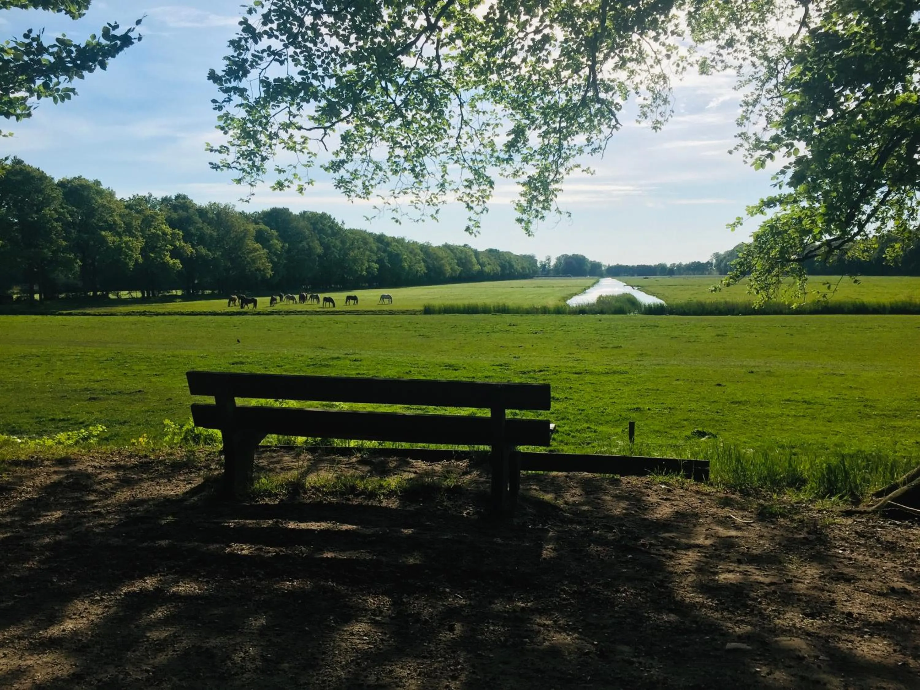 Hiking in Art+bed and breakfast