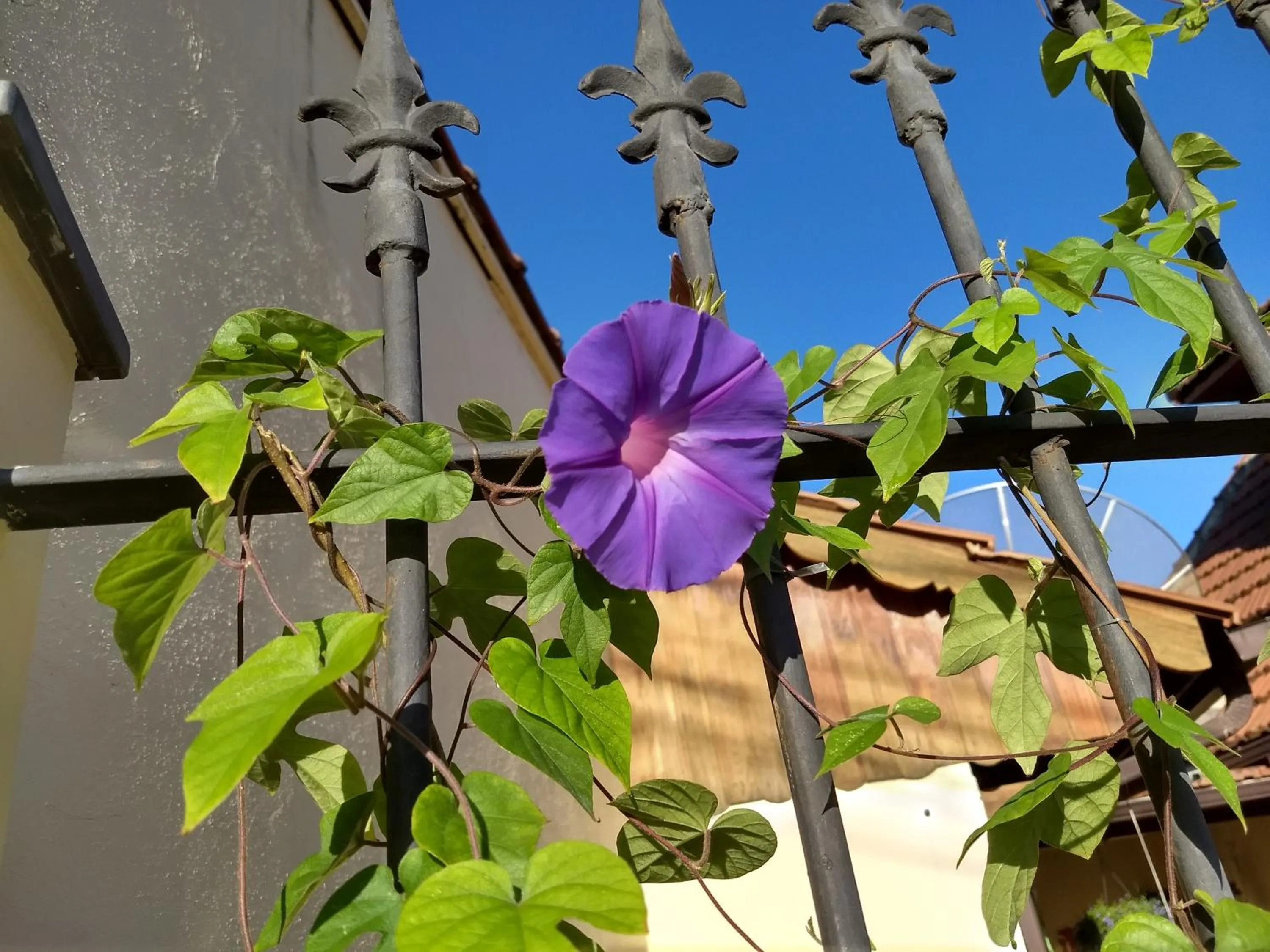 Pousada Castelinho
