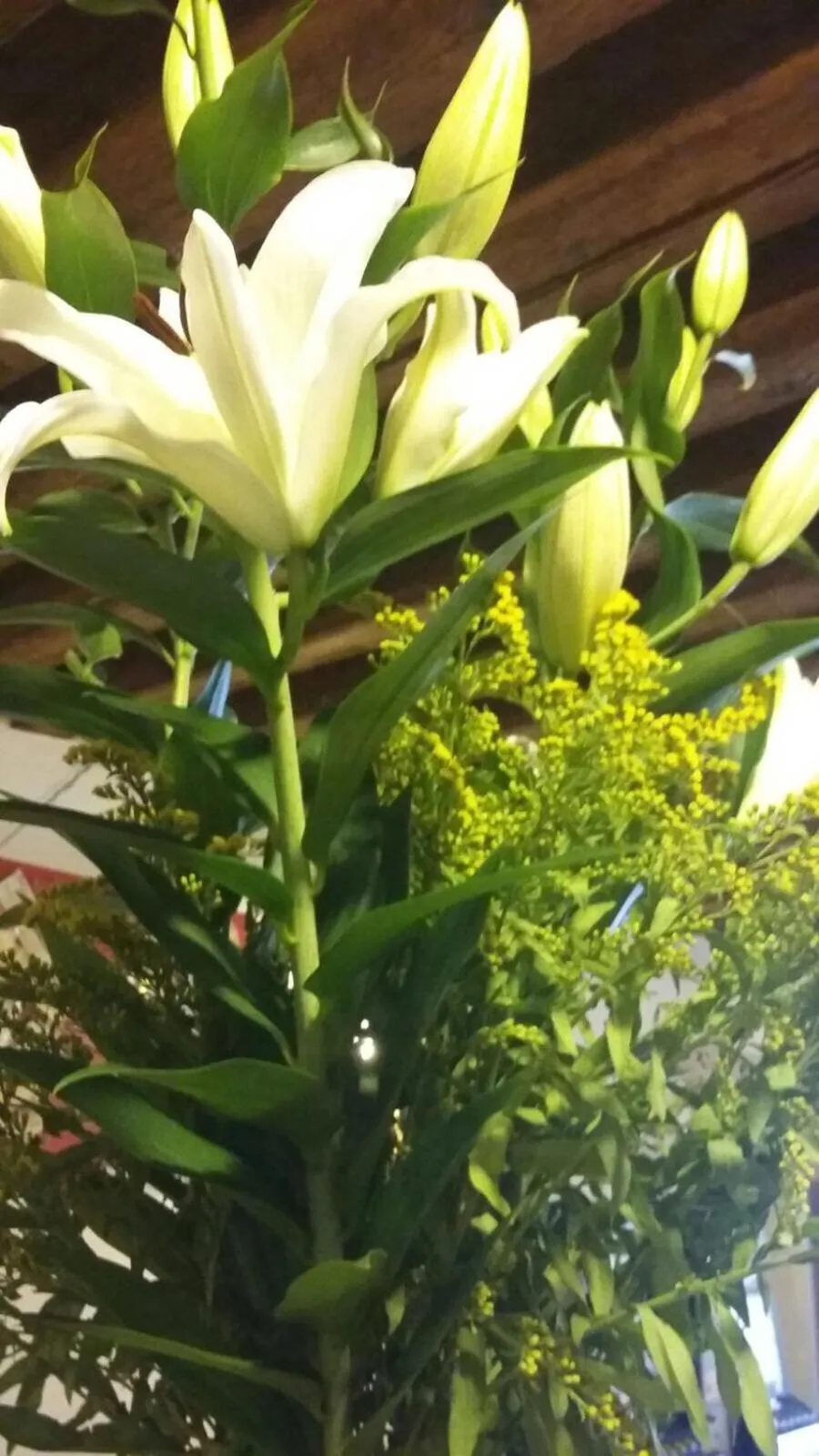 Decorative detail in Ristorante Pizzeria al Mondo