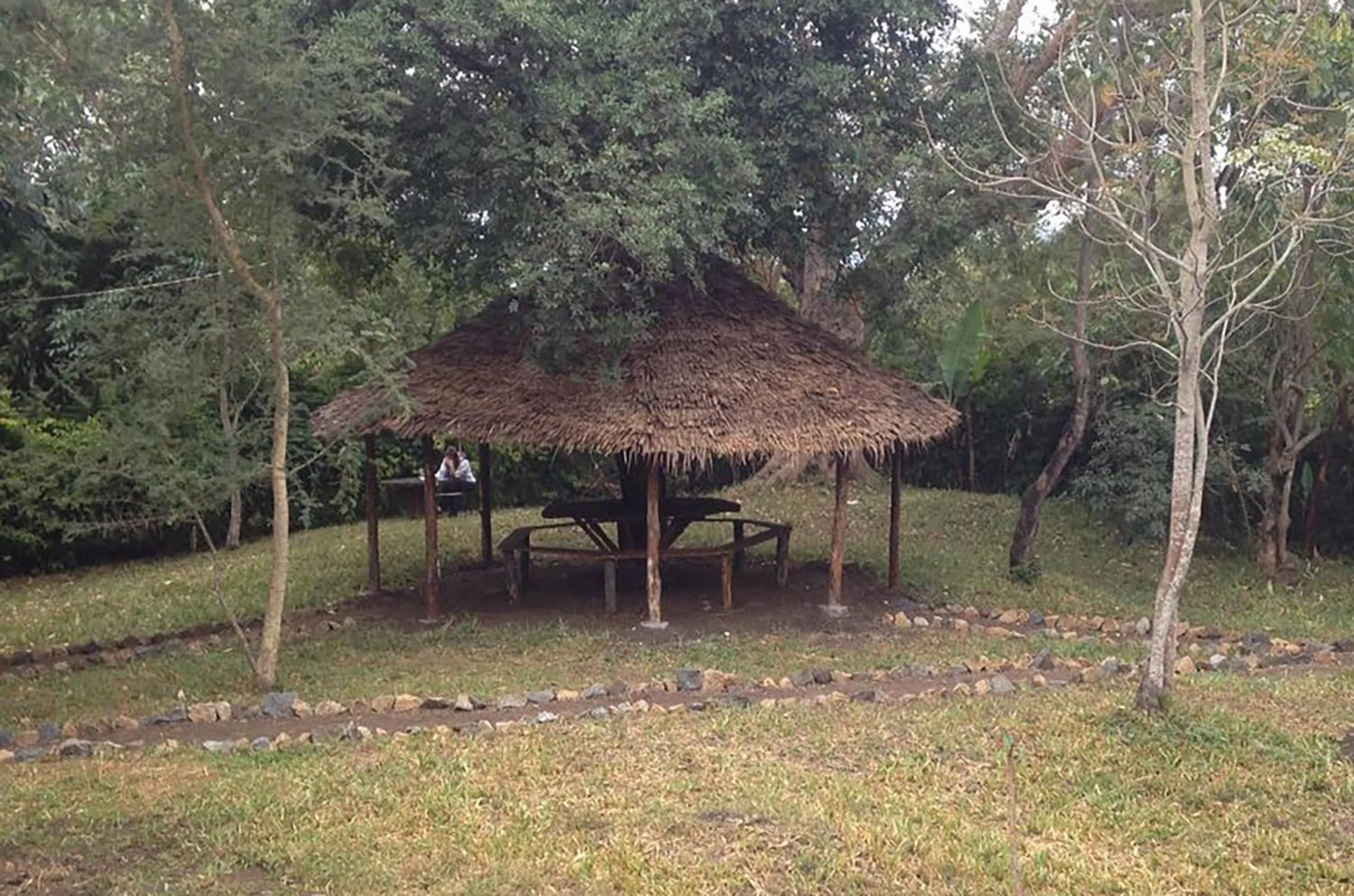 Lounge or bar in Endasawa Tree Lodge
