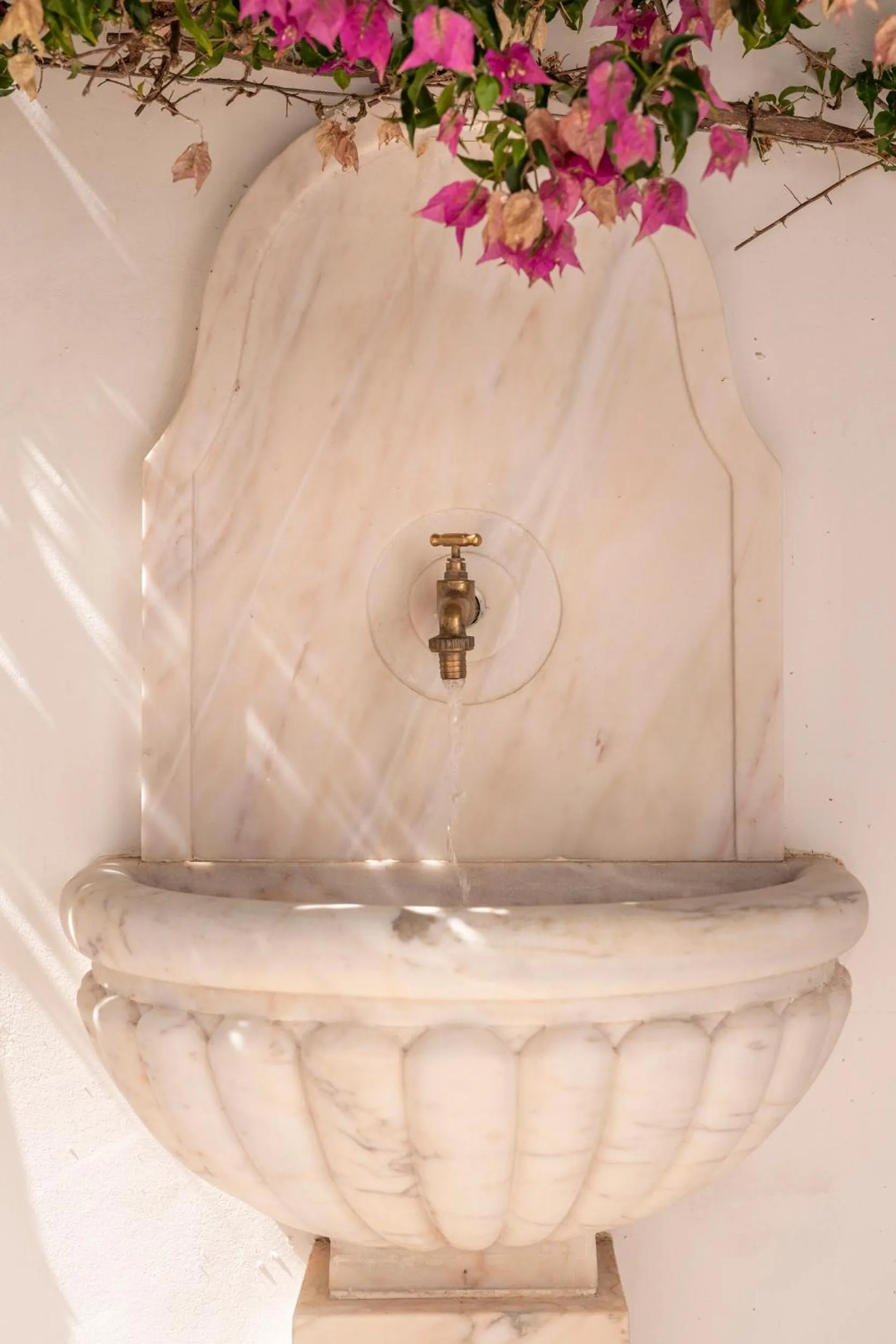 Property building in Casa Morgado Esporao