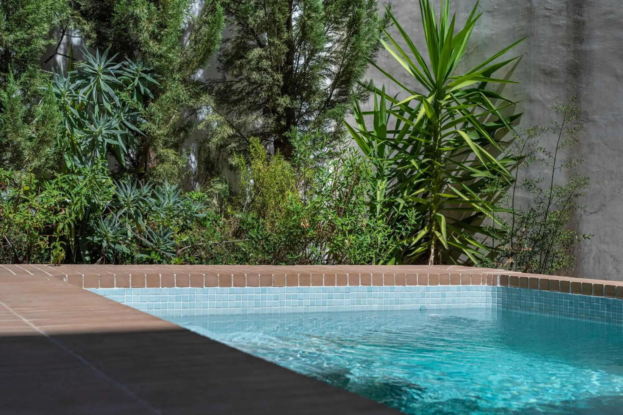 Swimming pool in Casa Morgado Esporao Swimming pool in Casa Morgado Esporao