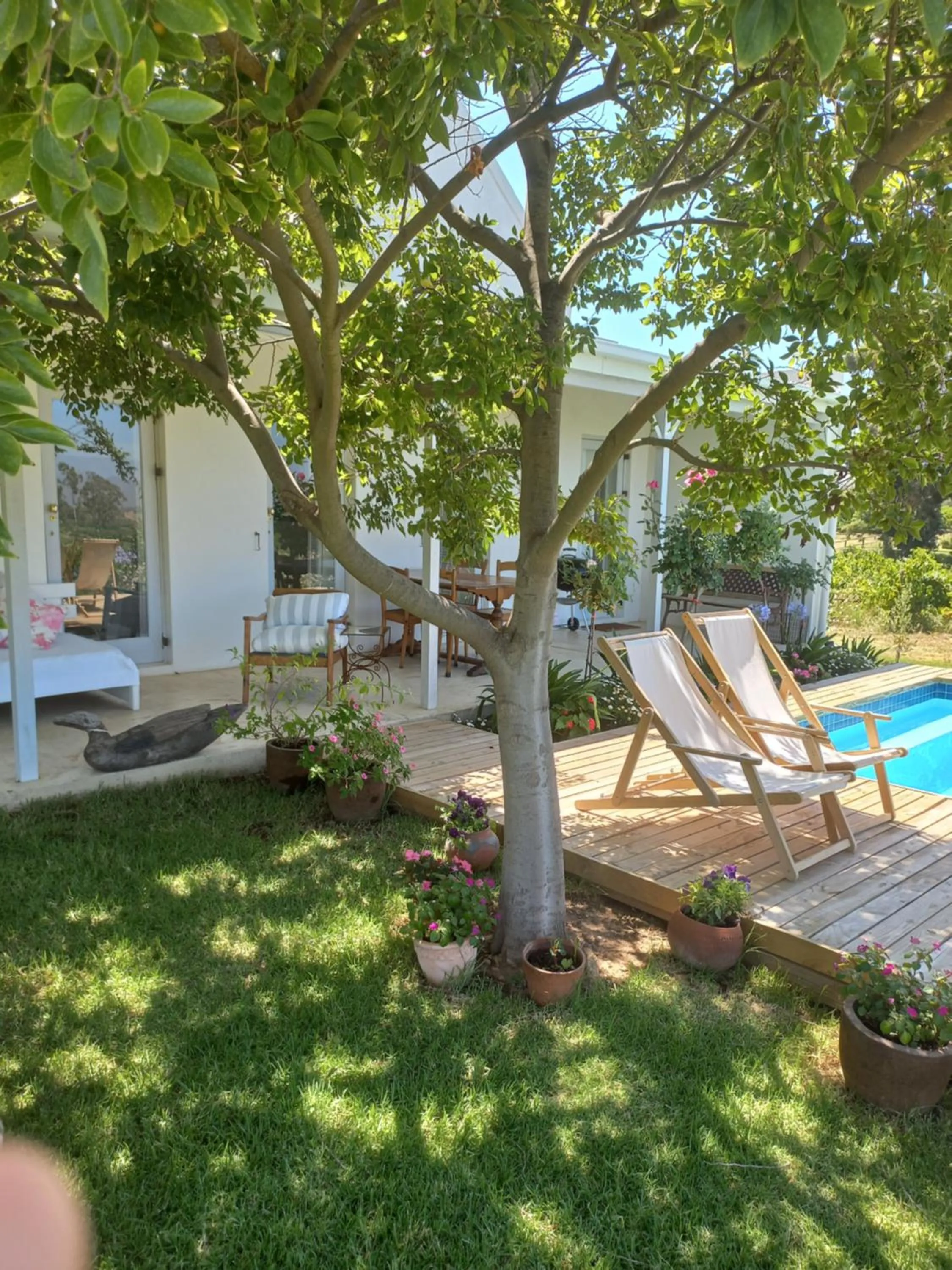 Klaasvoogds Cottages