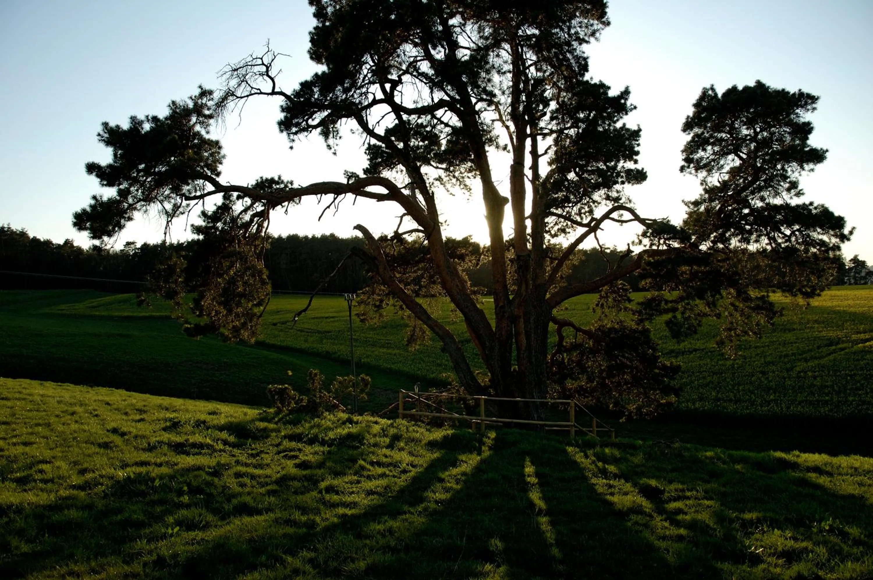 Natural landscape in Hotel Hammermühle