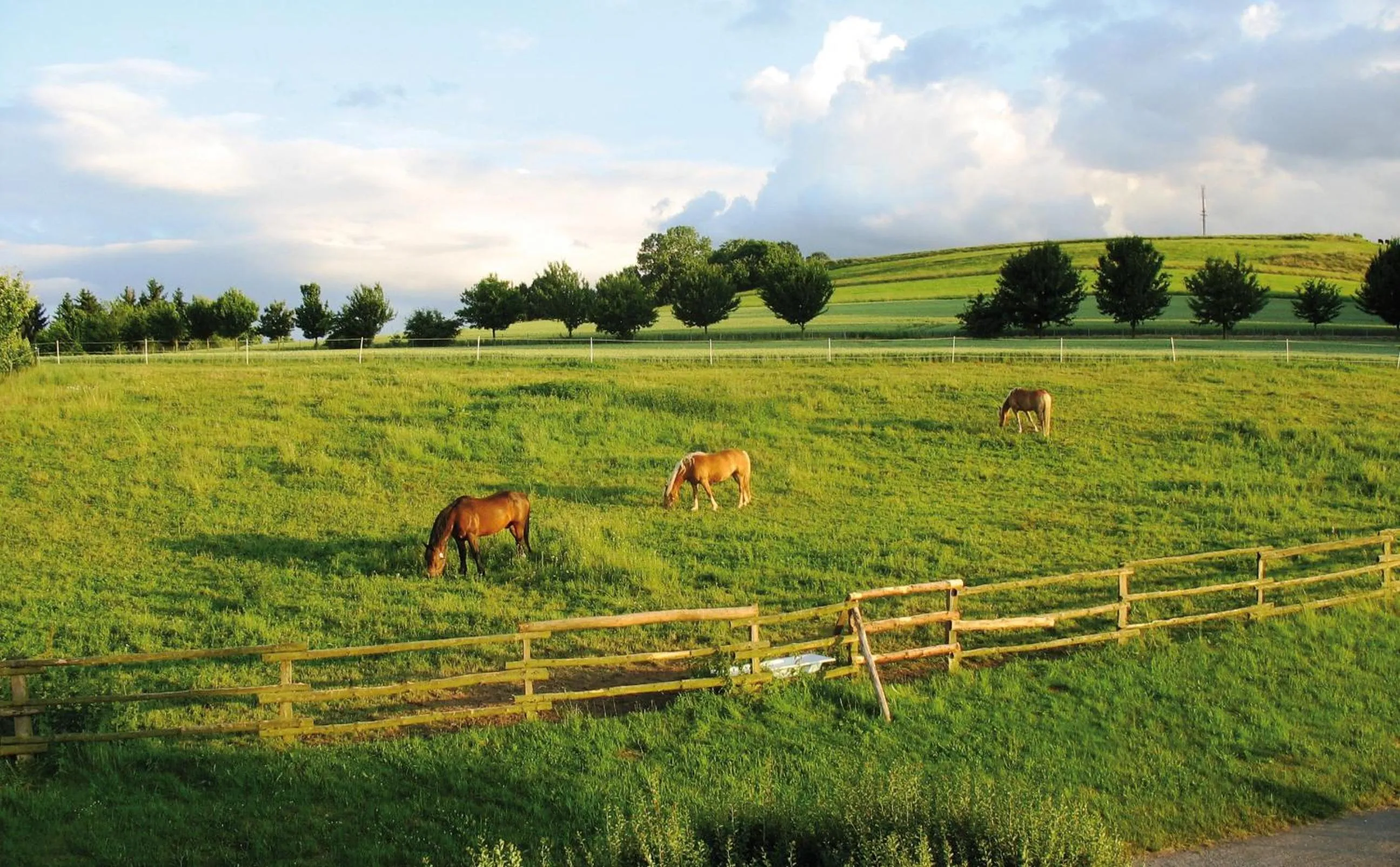 Natural landscape in Hotel Hammermühle
