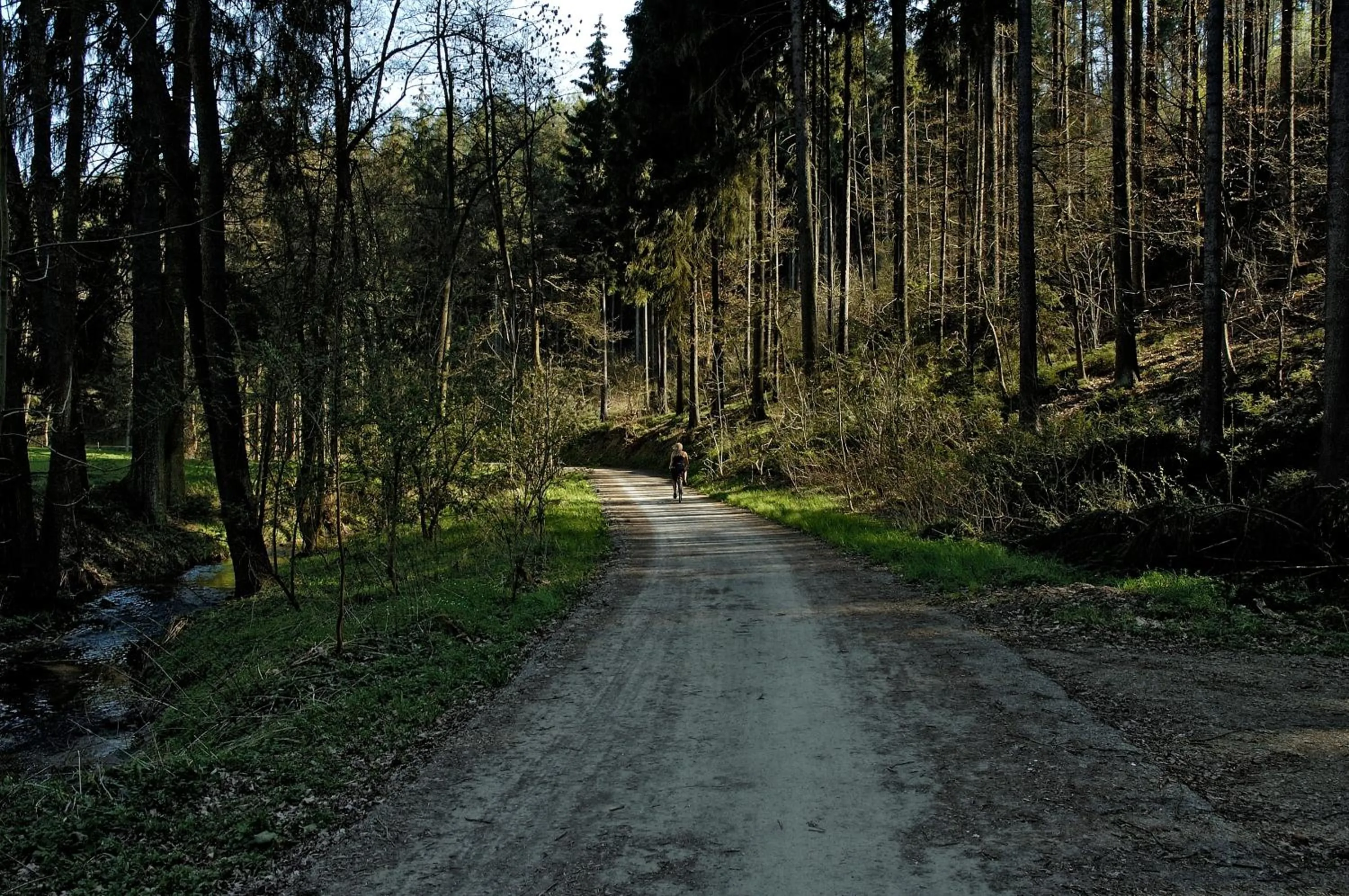 Natural landscape in Hotel Hammermühle