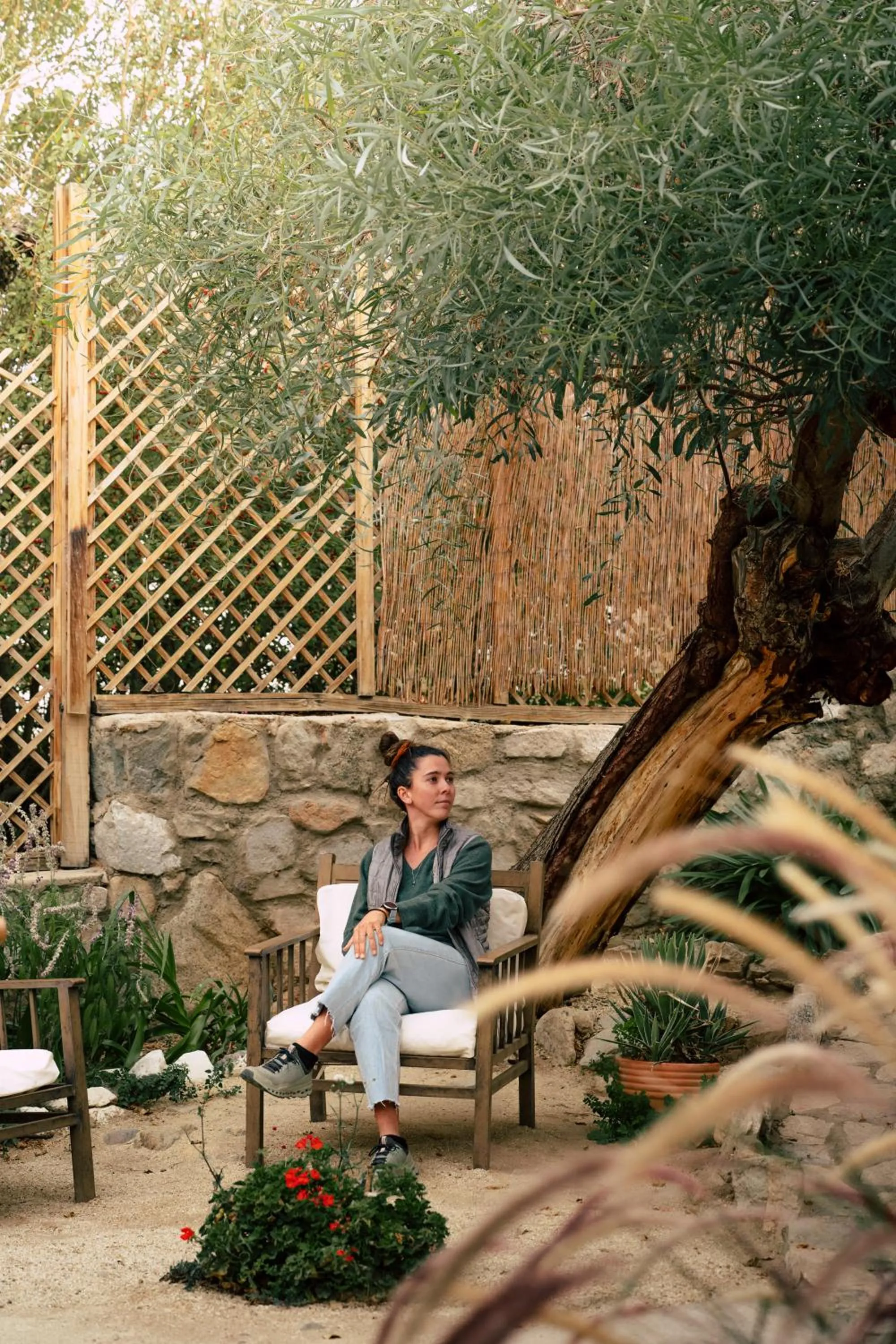 Balcony/Terrace in Hotel El Tesoro de Elqui