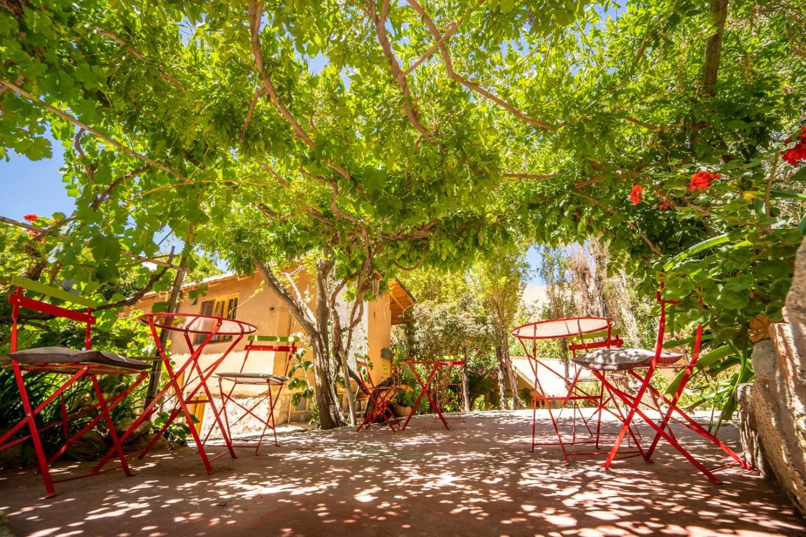 Hotel El Tesoro de Elqui