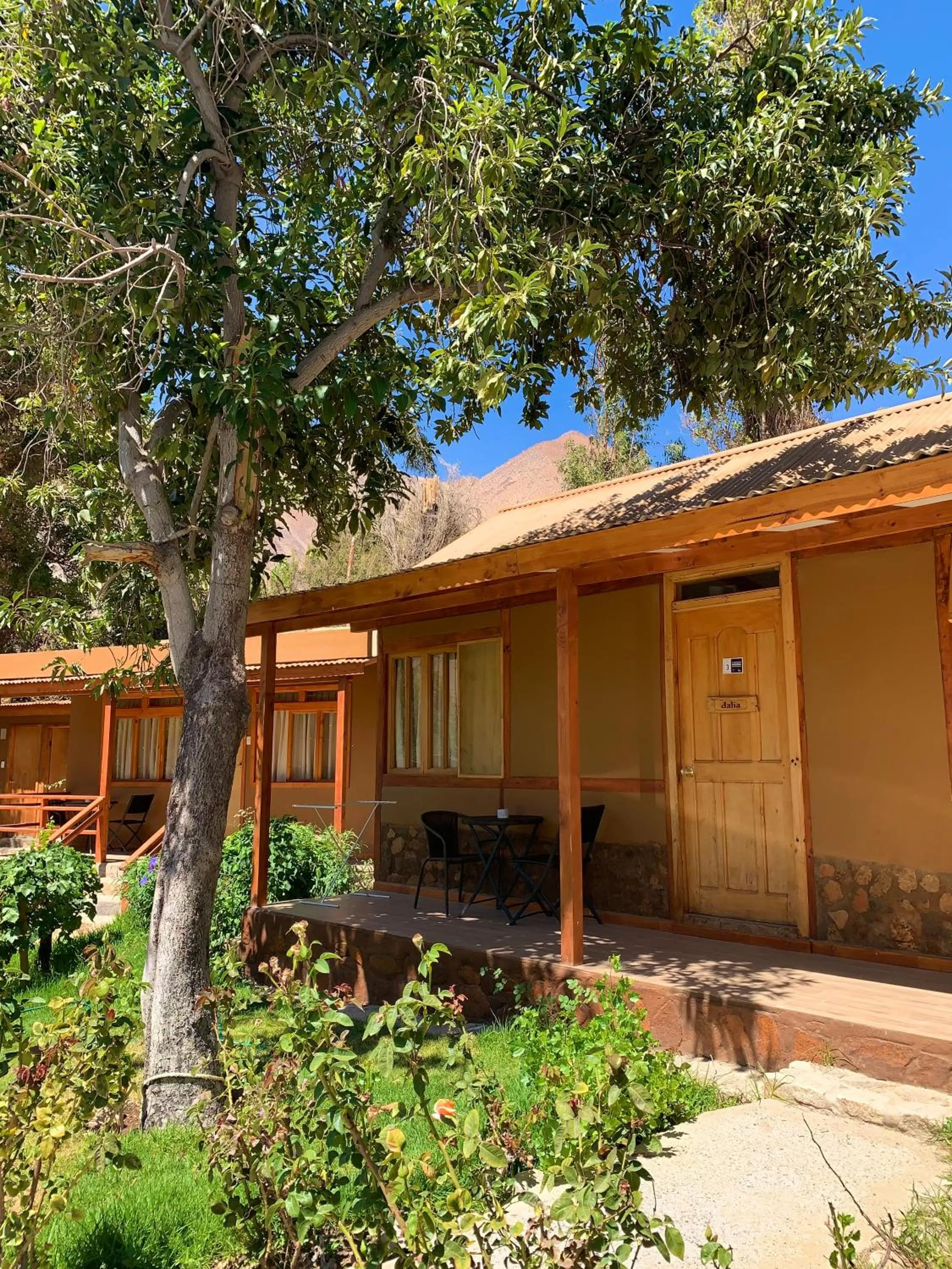 Patio in Hotel El Tesoro de Elqui