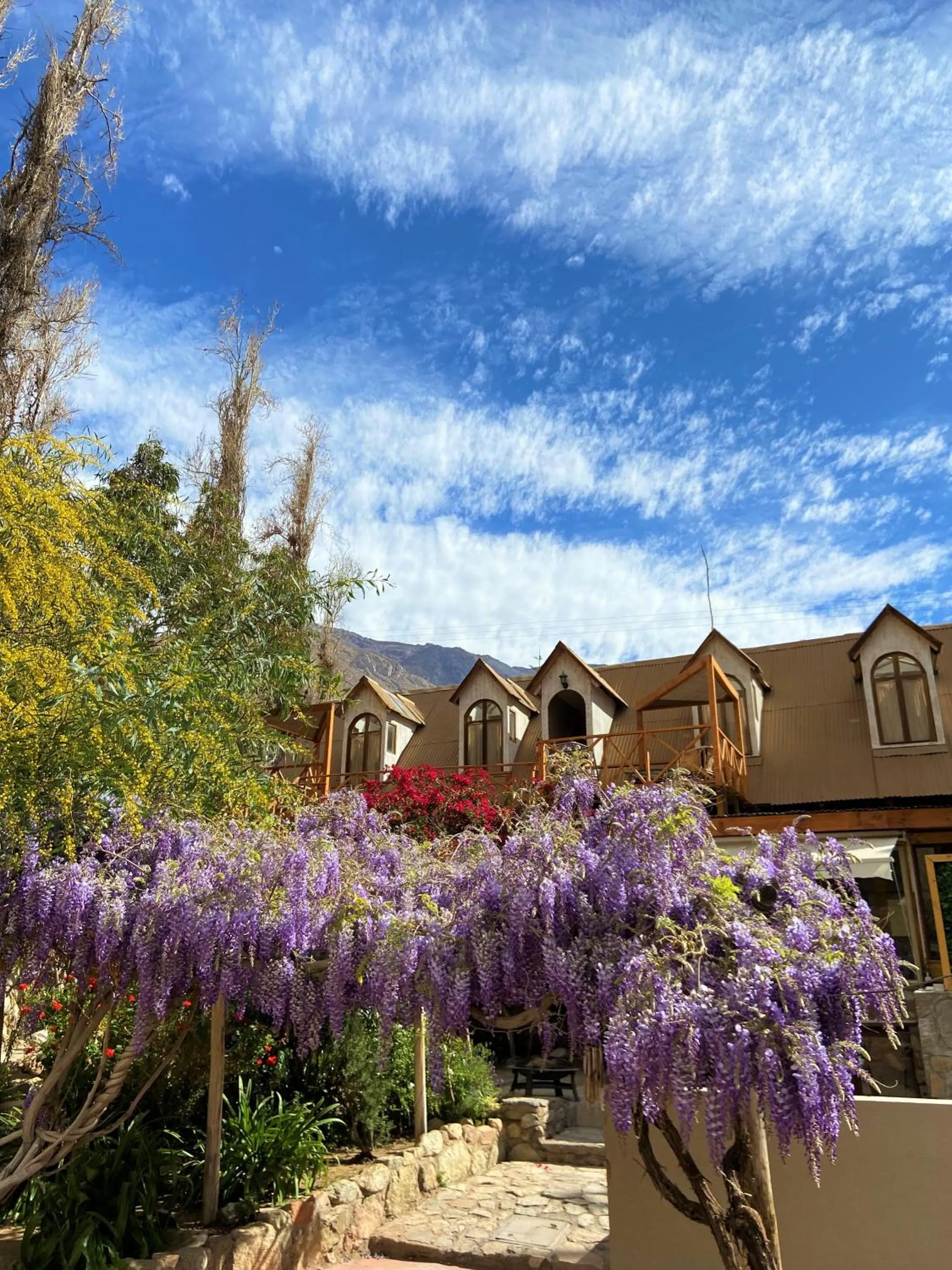 Spring in Hotel El Tesoro de Elqui