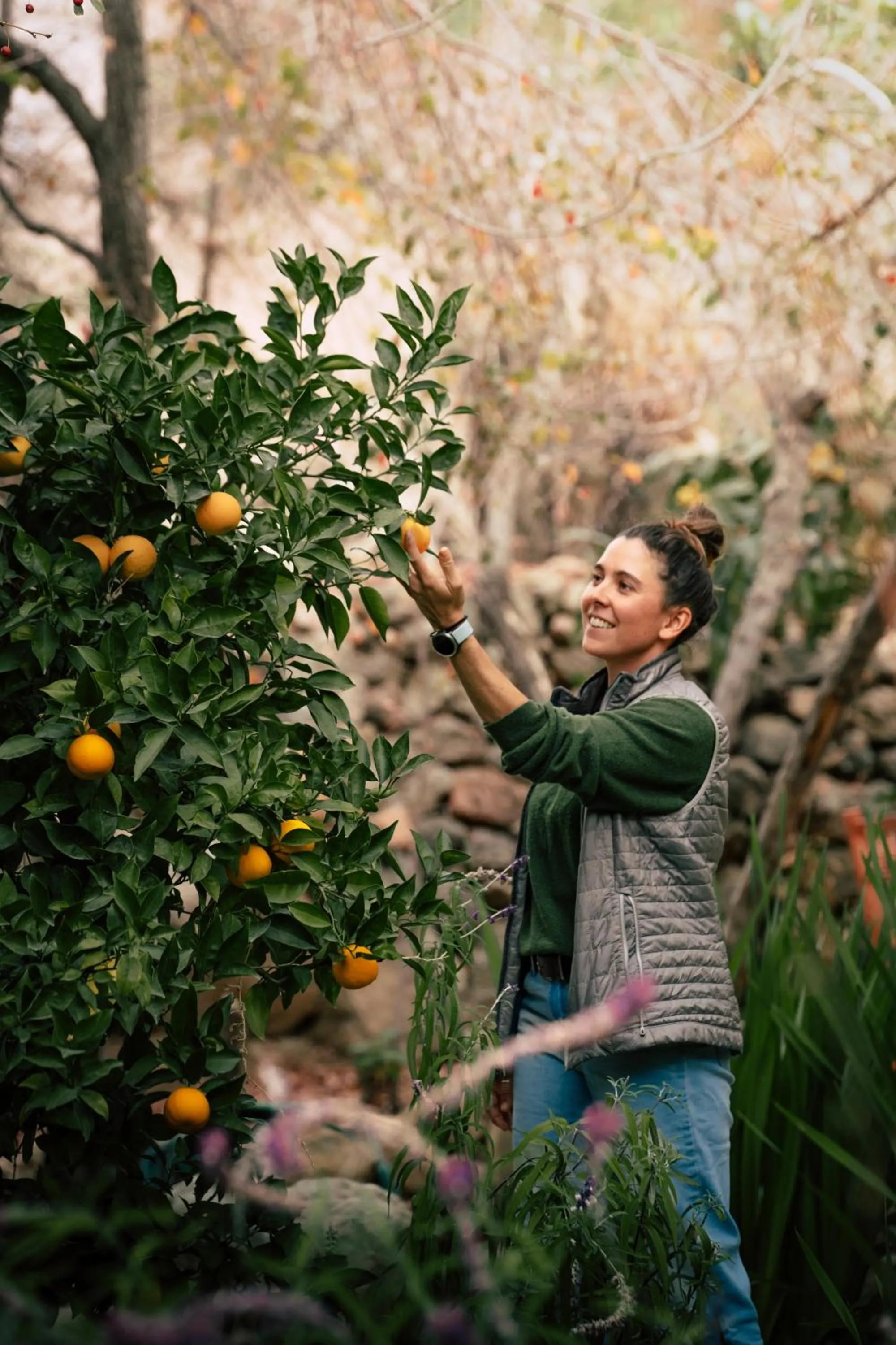 Patio in Hotel El Tesoro de Elqui