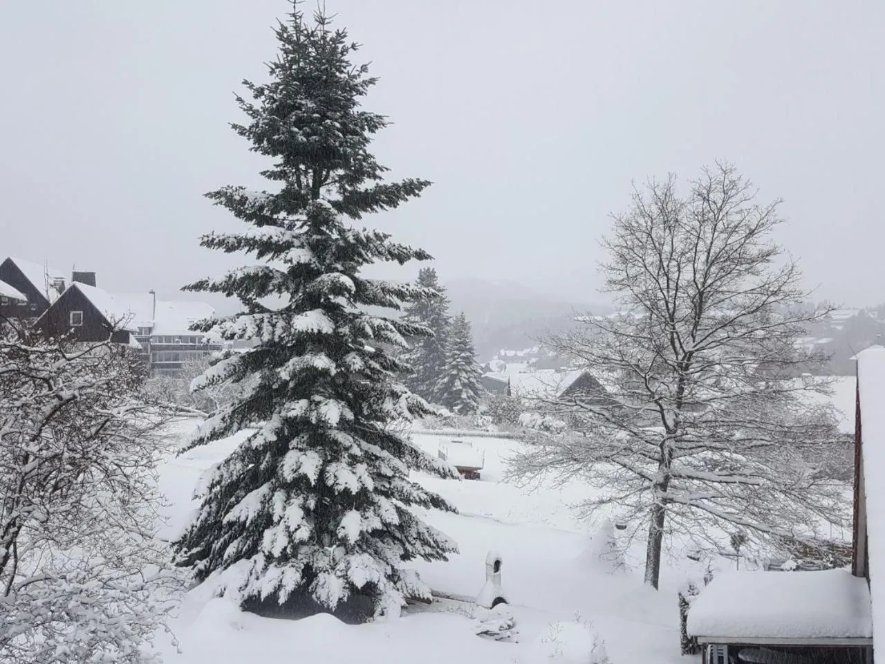 Natural landscape in Ferienwohnung Rieger 1