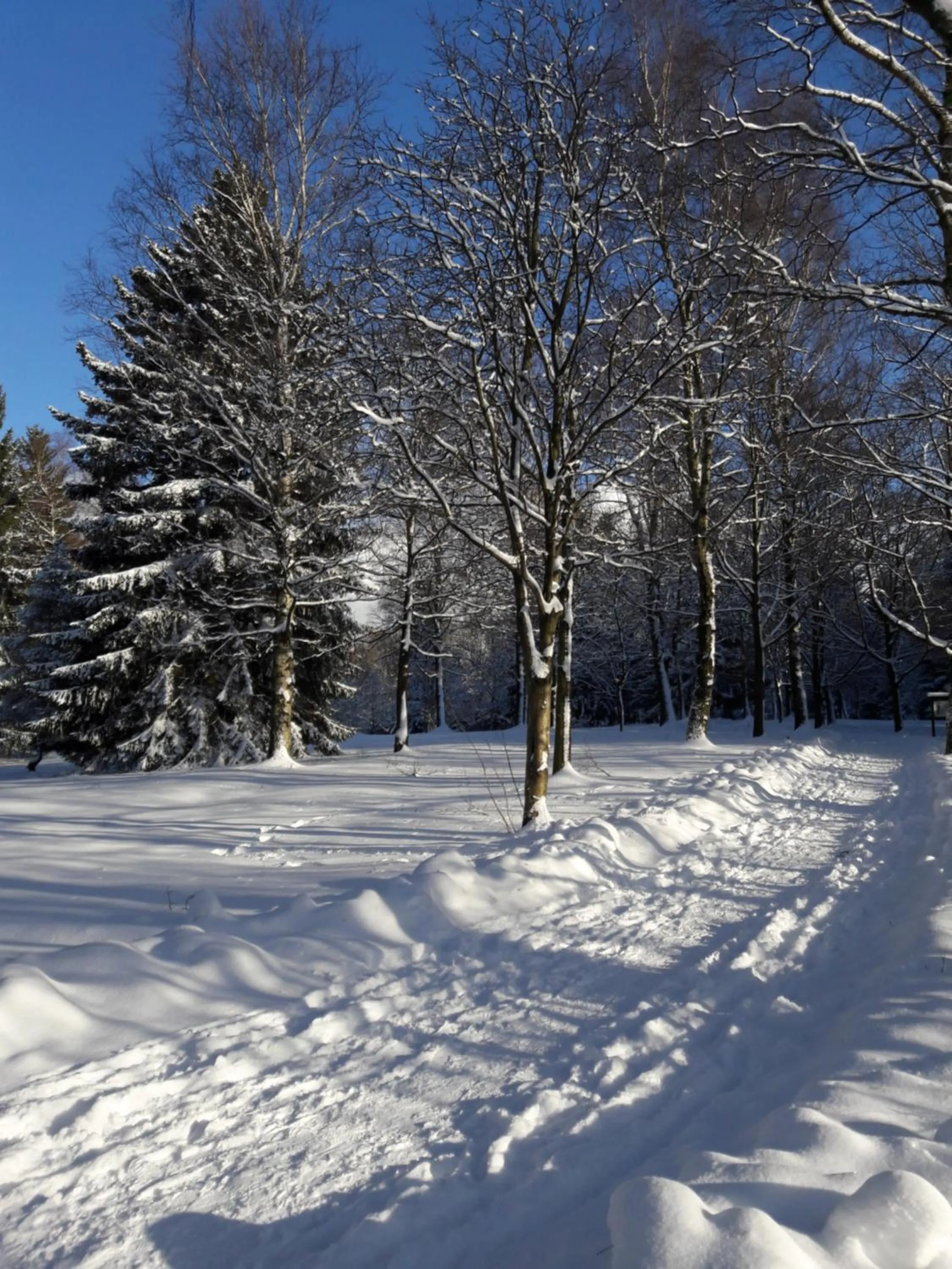 Natural landscape in Ferienwohnung Rieger 1