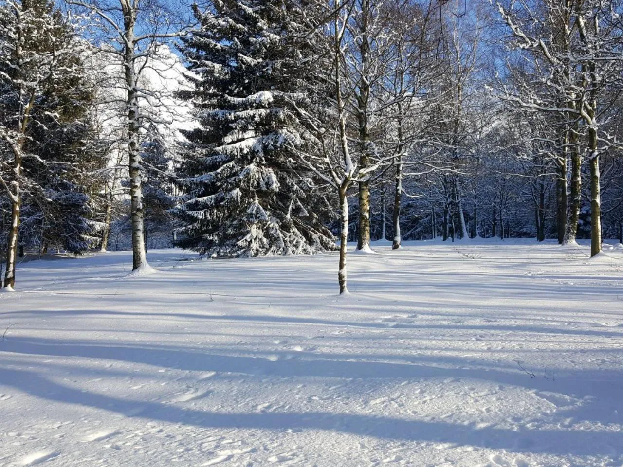 Natural landscape in Ferienwohnung Rieger 1
