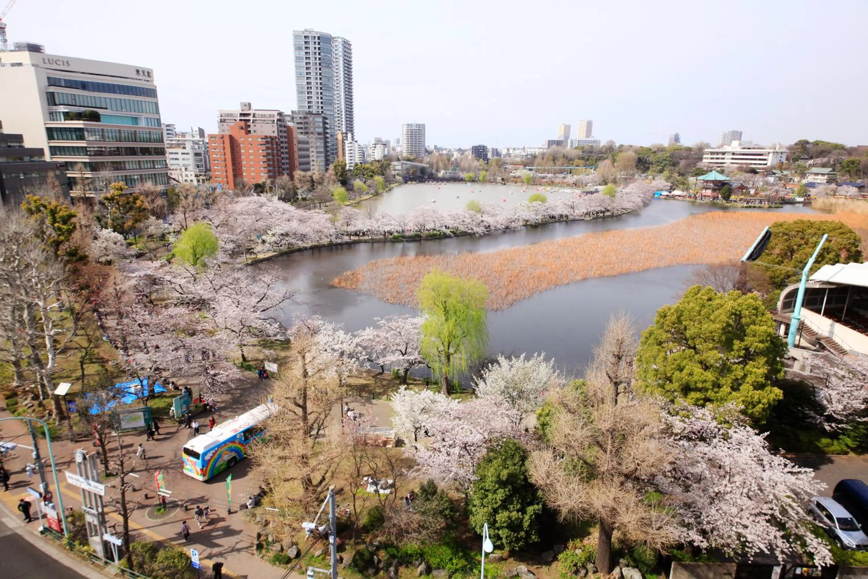 Off site in Centurion Hotel&Spa Ueno Station