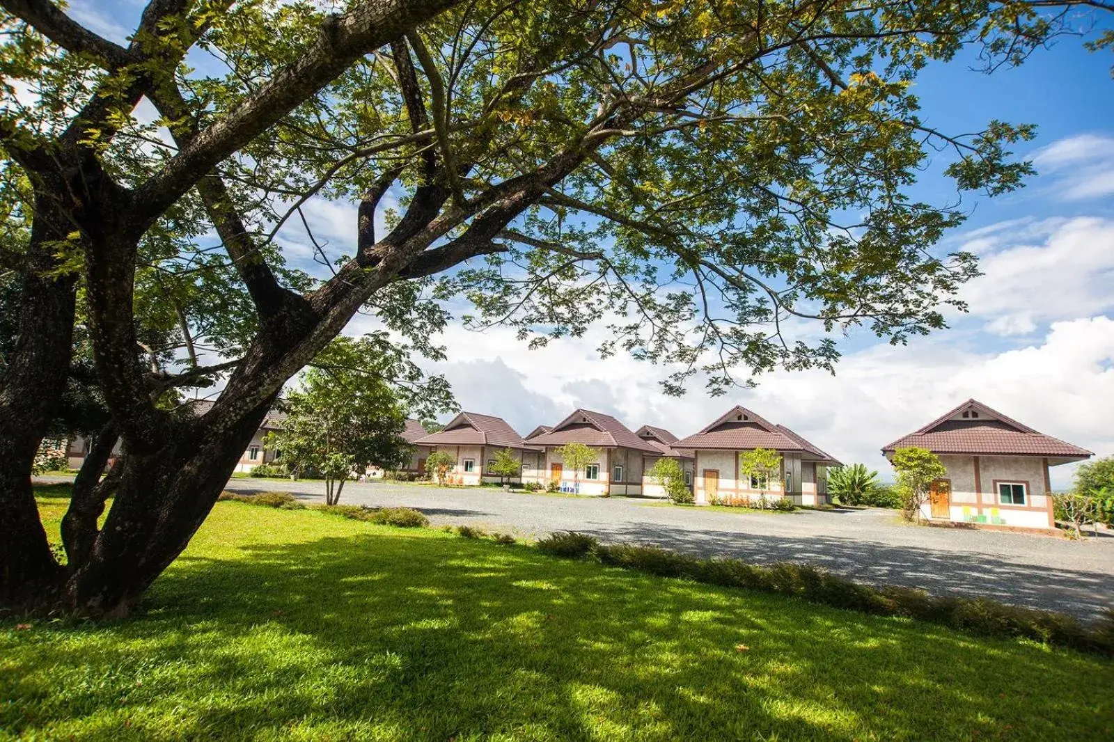 Garden in Mae Faek Villas Garden in Mae Faek Villas