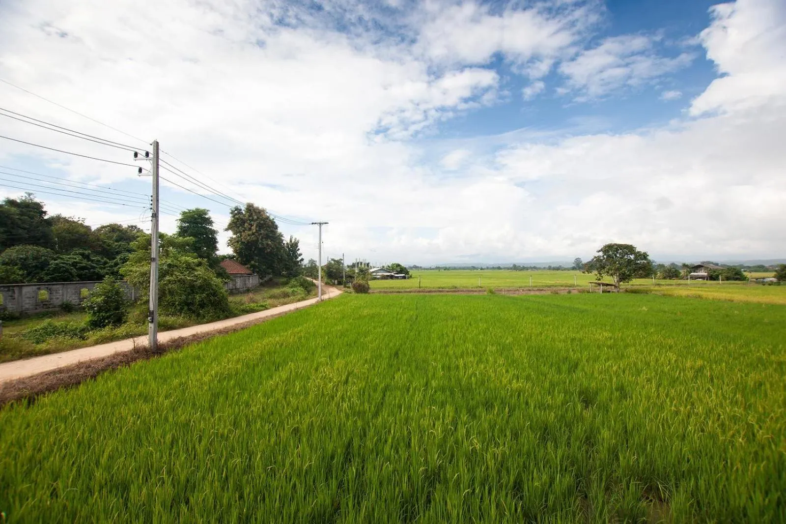 Natural landscape in Mae Faek Villas