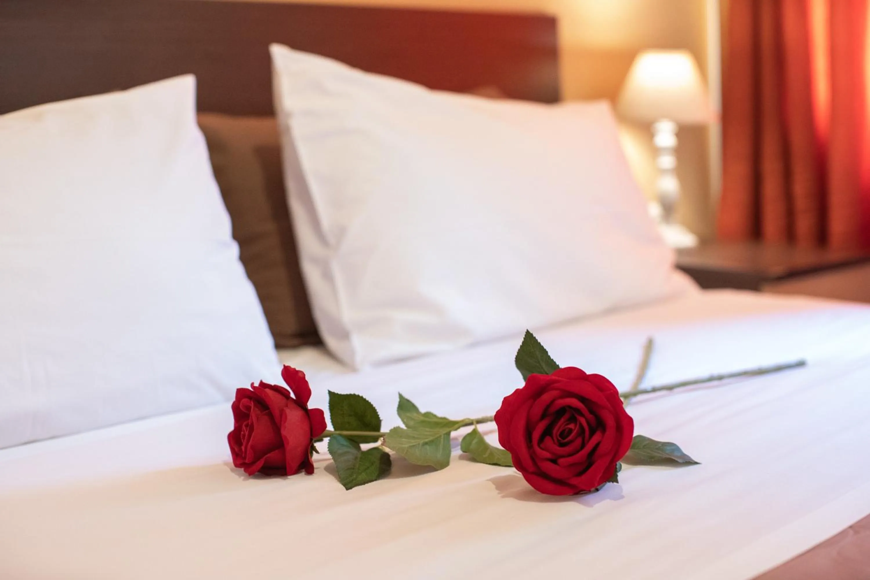 Bed in Alexandria Hotel