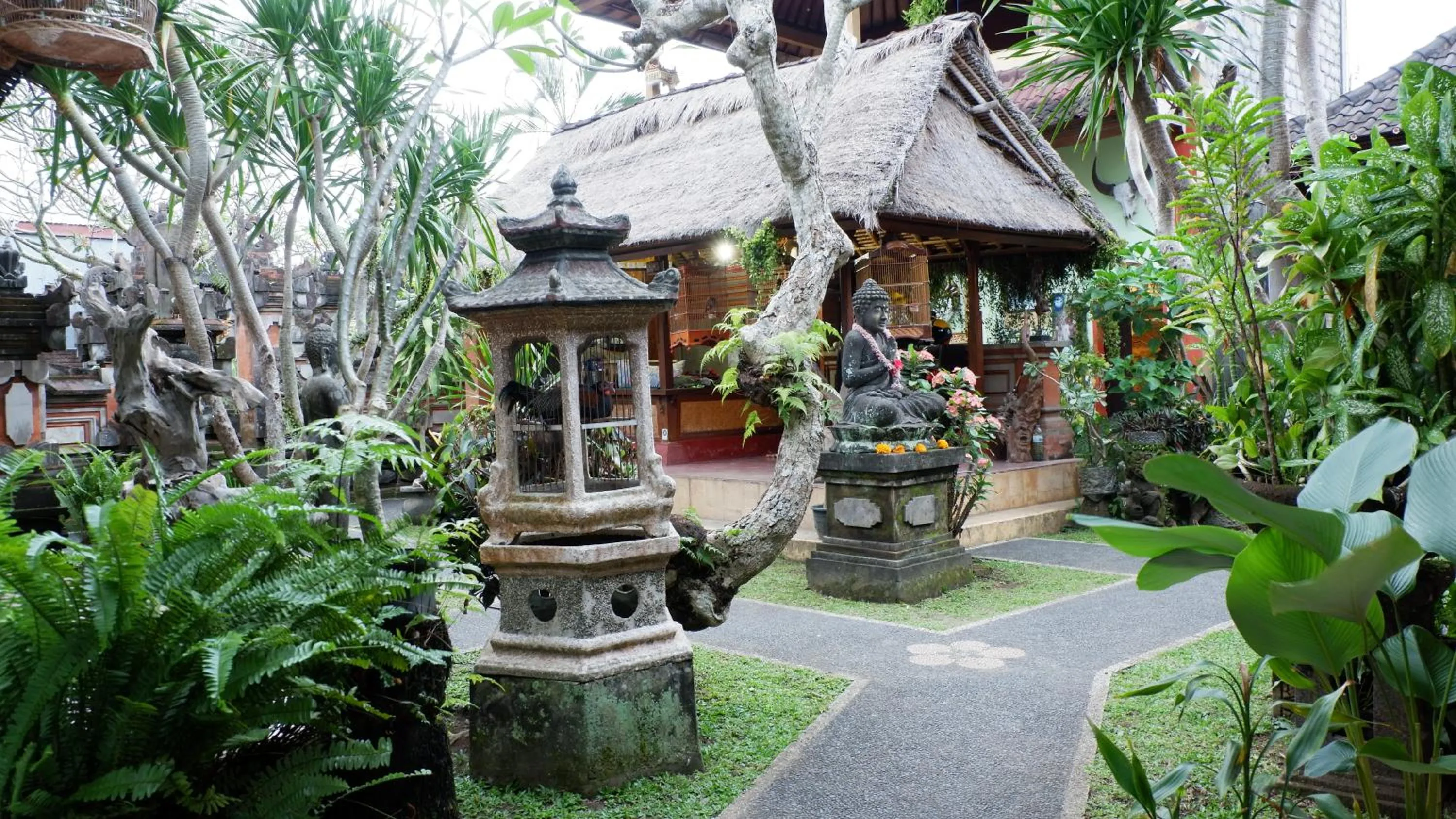 Garden in Hai Homestay