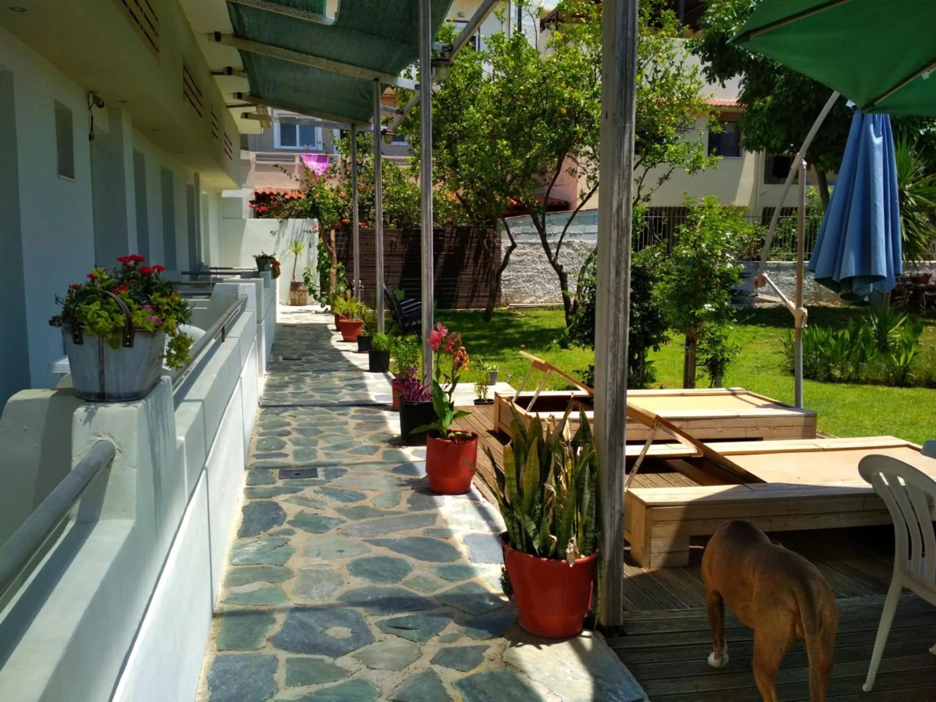 Beloni Apartments and Studios