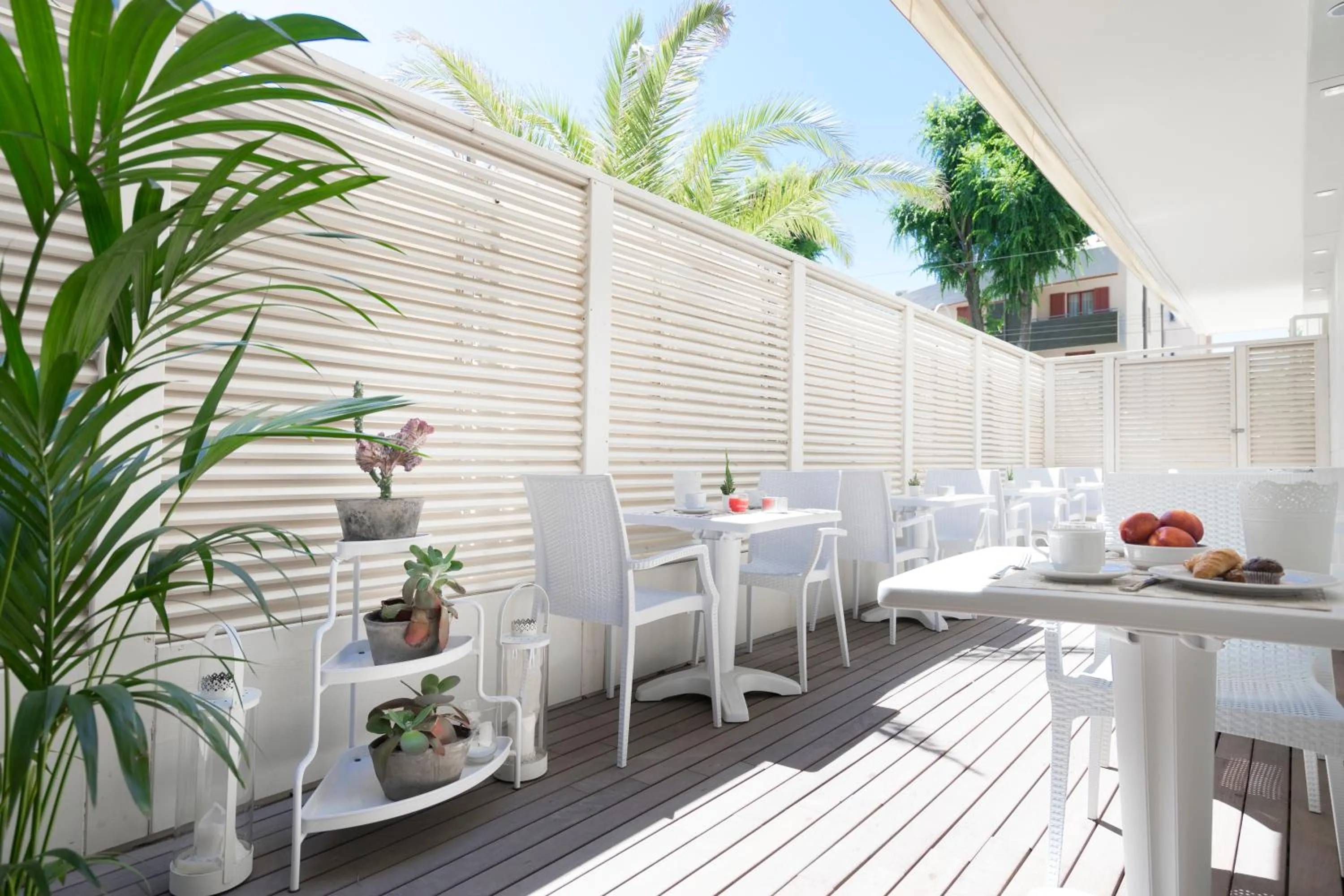 Patio in Hotel Apollo