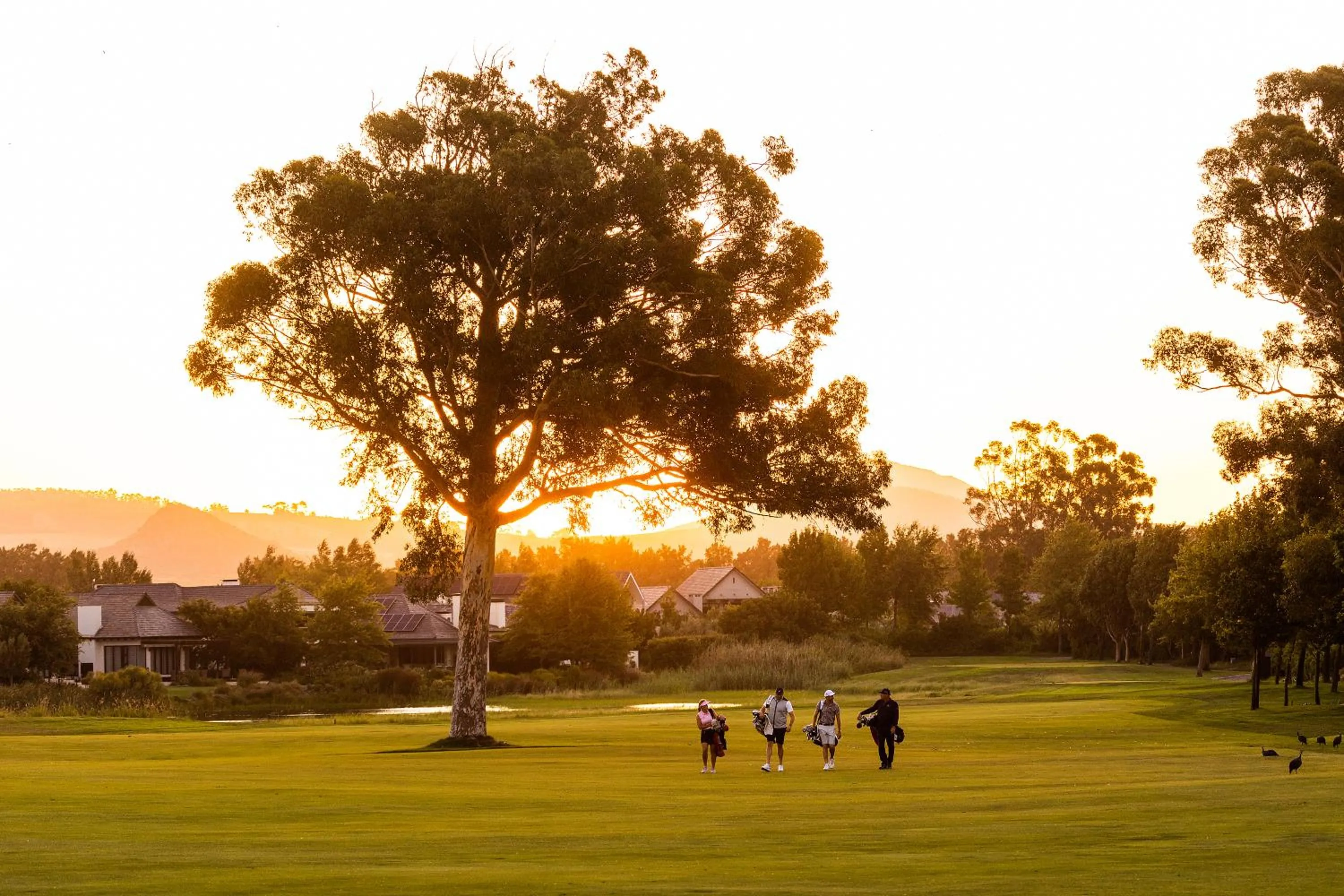 Day in Pearl Valley Hotel