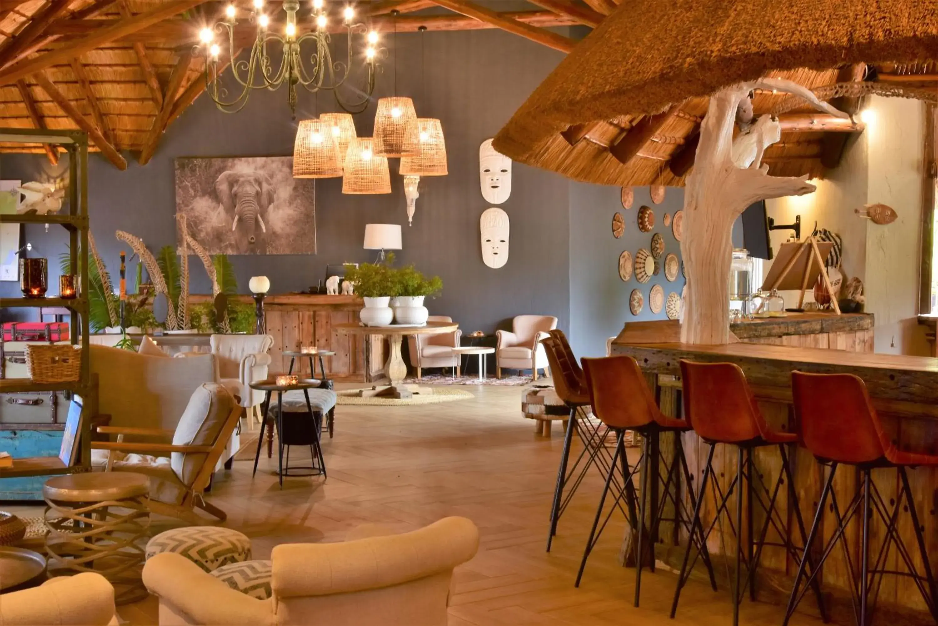 Lounge or bar, Restaurant/Places to Eat in Bayala Private Safari Lodges Lounge or bar, Restaurant/Places to Eat in Bayala Private Safari Lodges