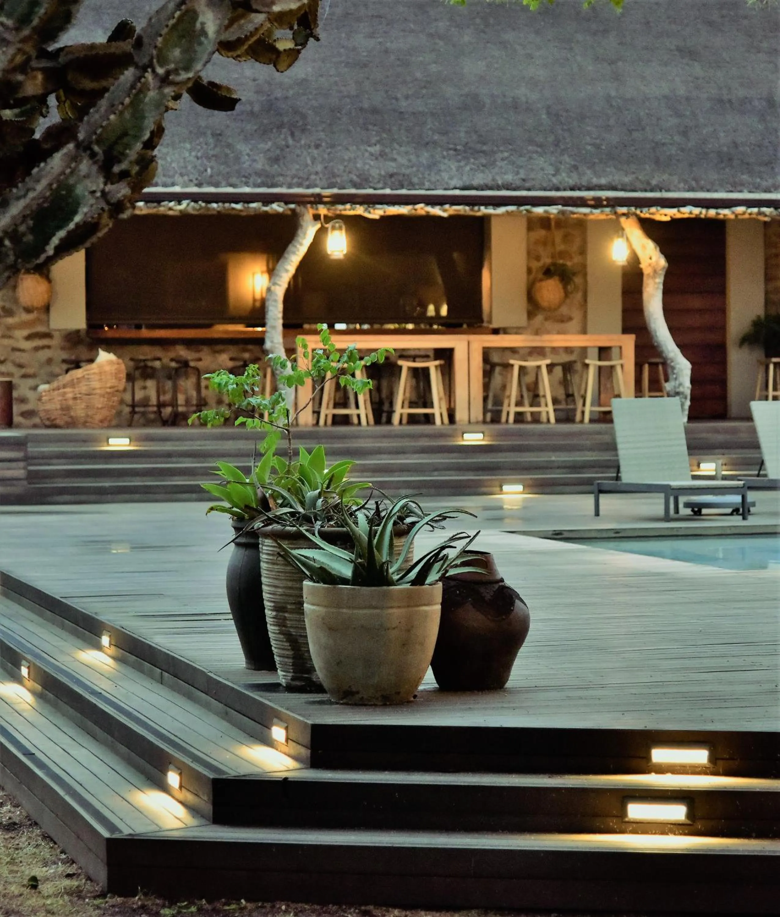 Patio in Bayala Private Safari Lodges