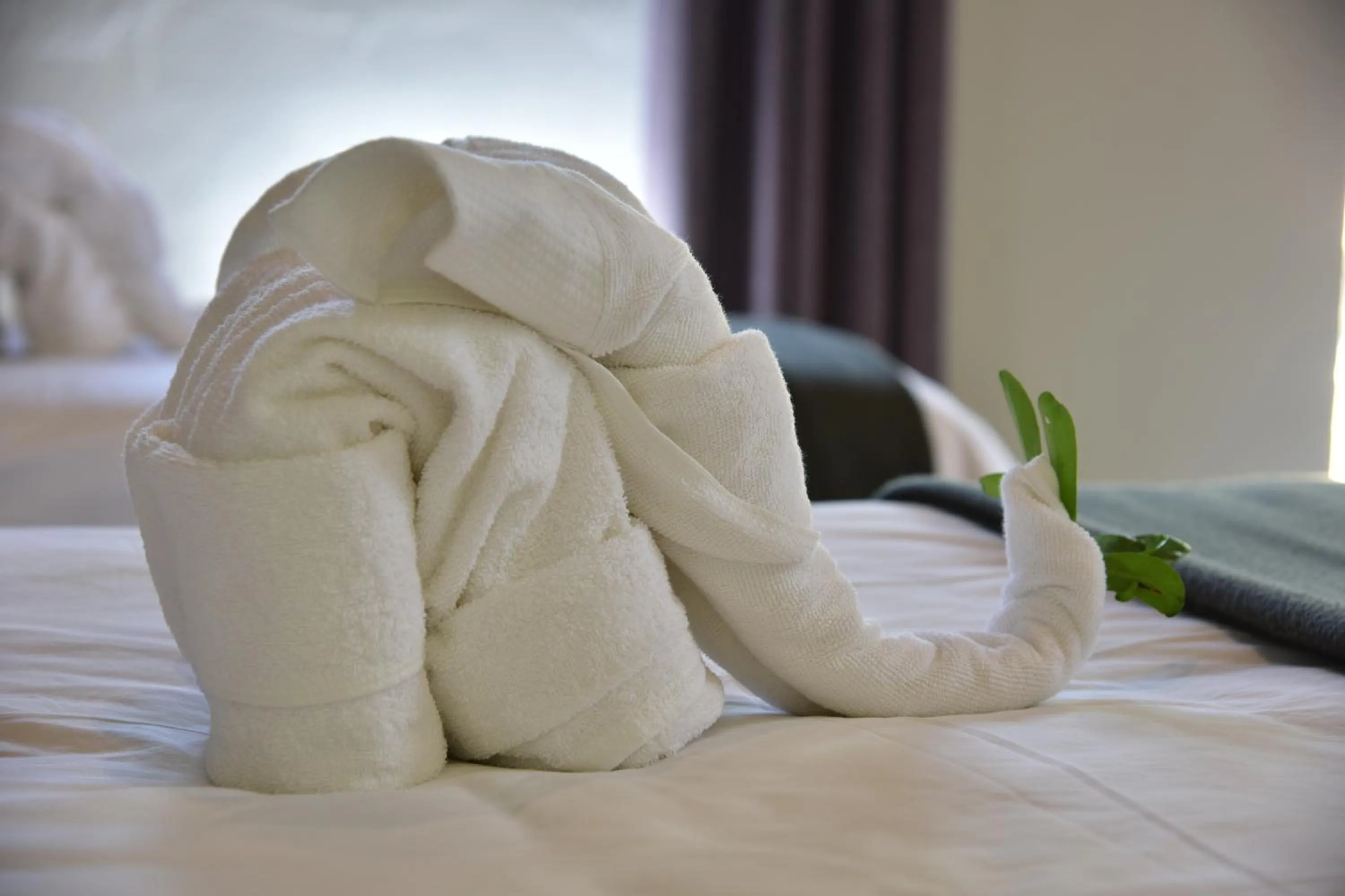 Property building, Bed in Bayala Private Safari Lodges