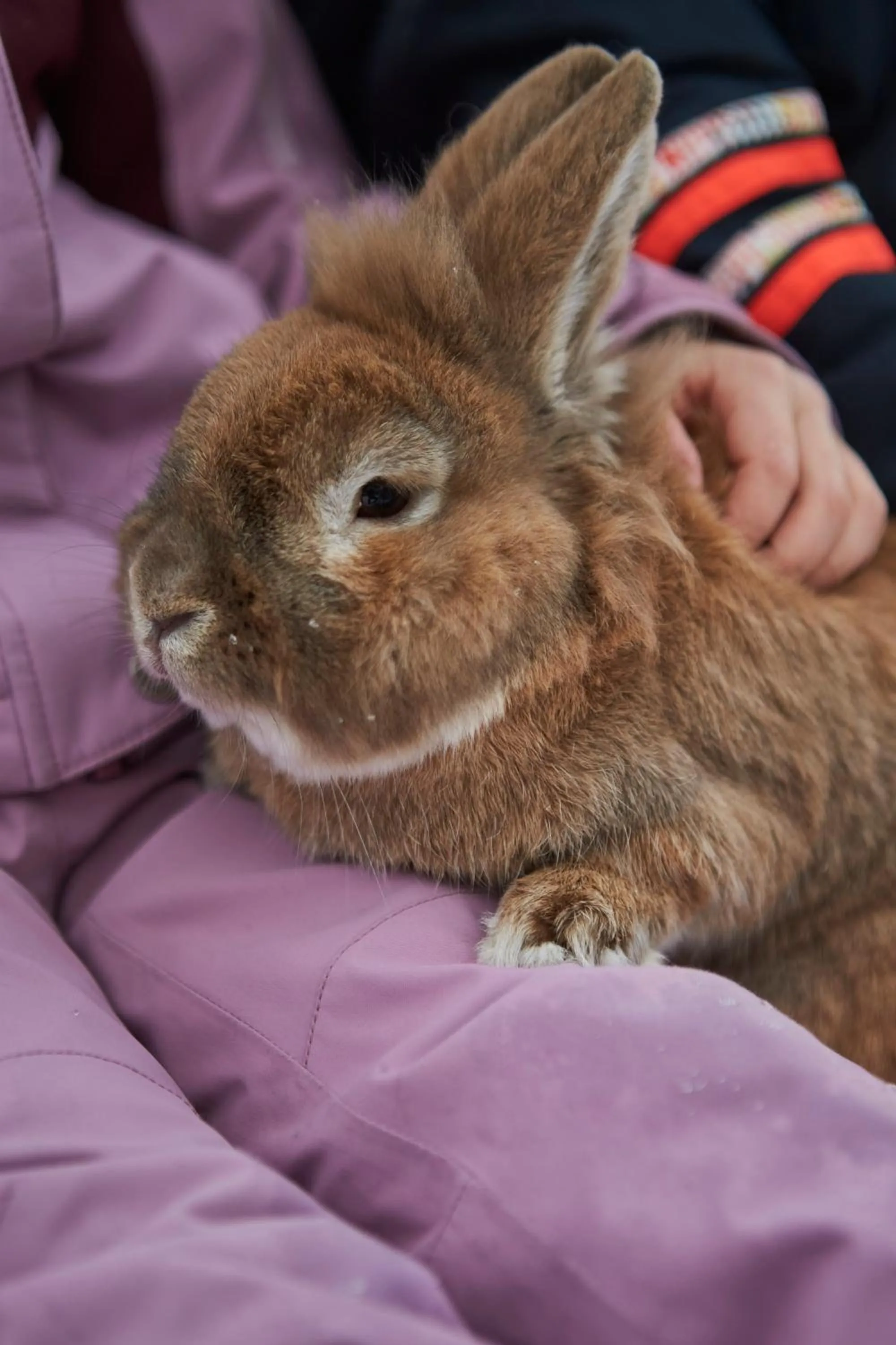 Bauernhof Hotel Oberschwarzach