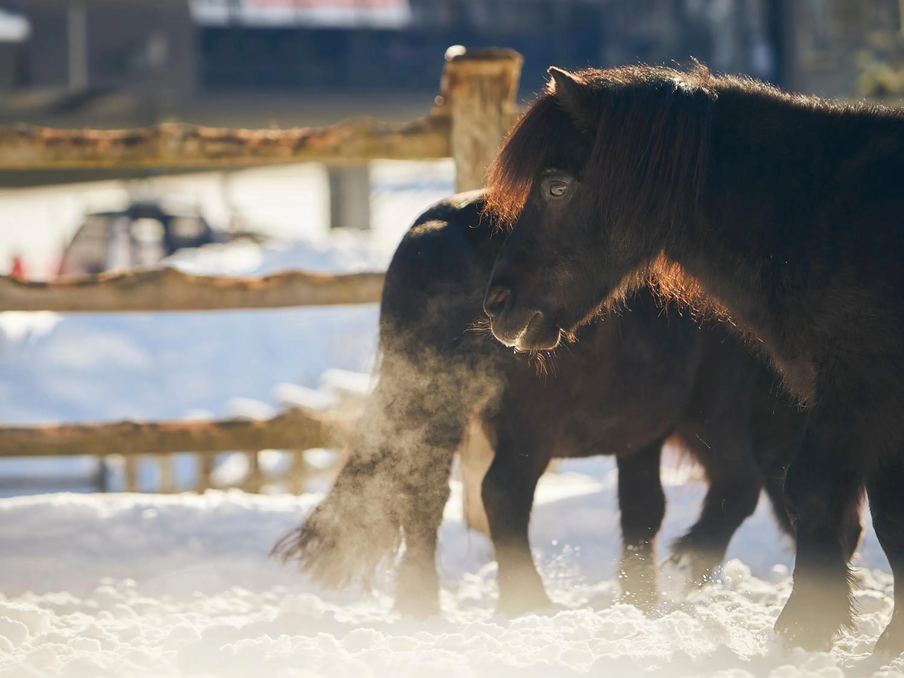 Bauernhof Hotel Oberschwarzach
