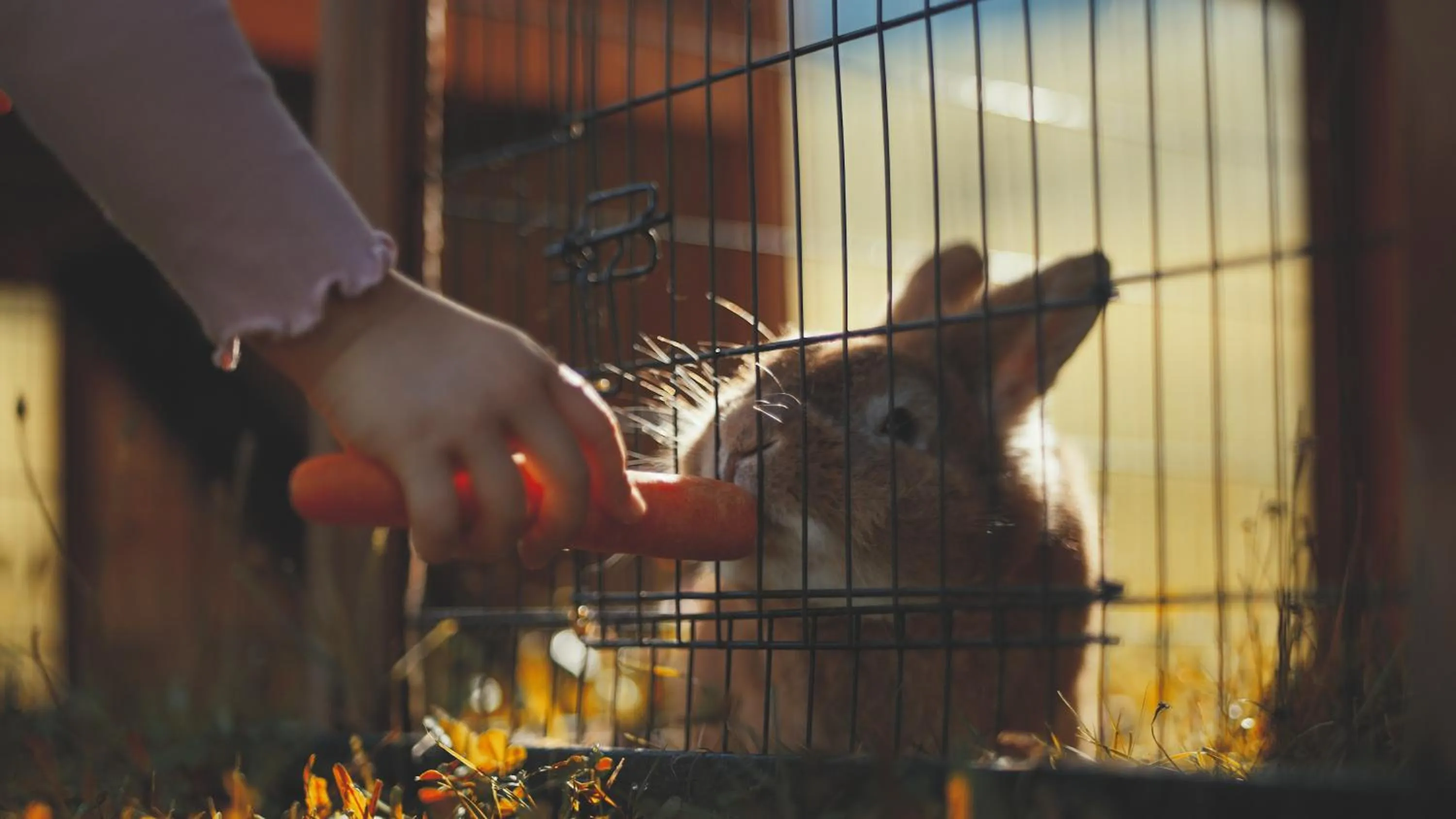 Bauernhof Hotel Oberschwarzach