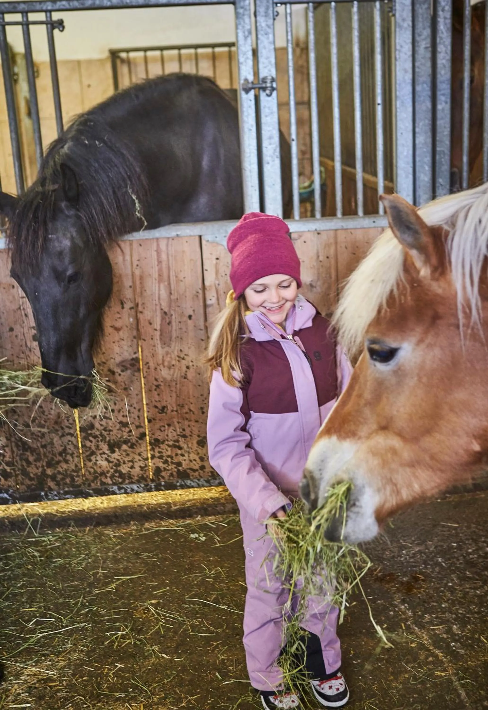 Bauernhof Hotel Oberschwarzach