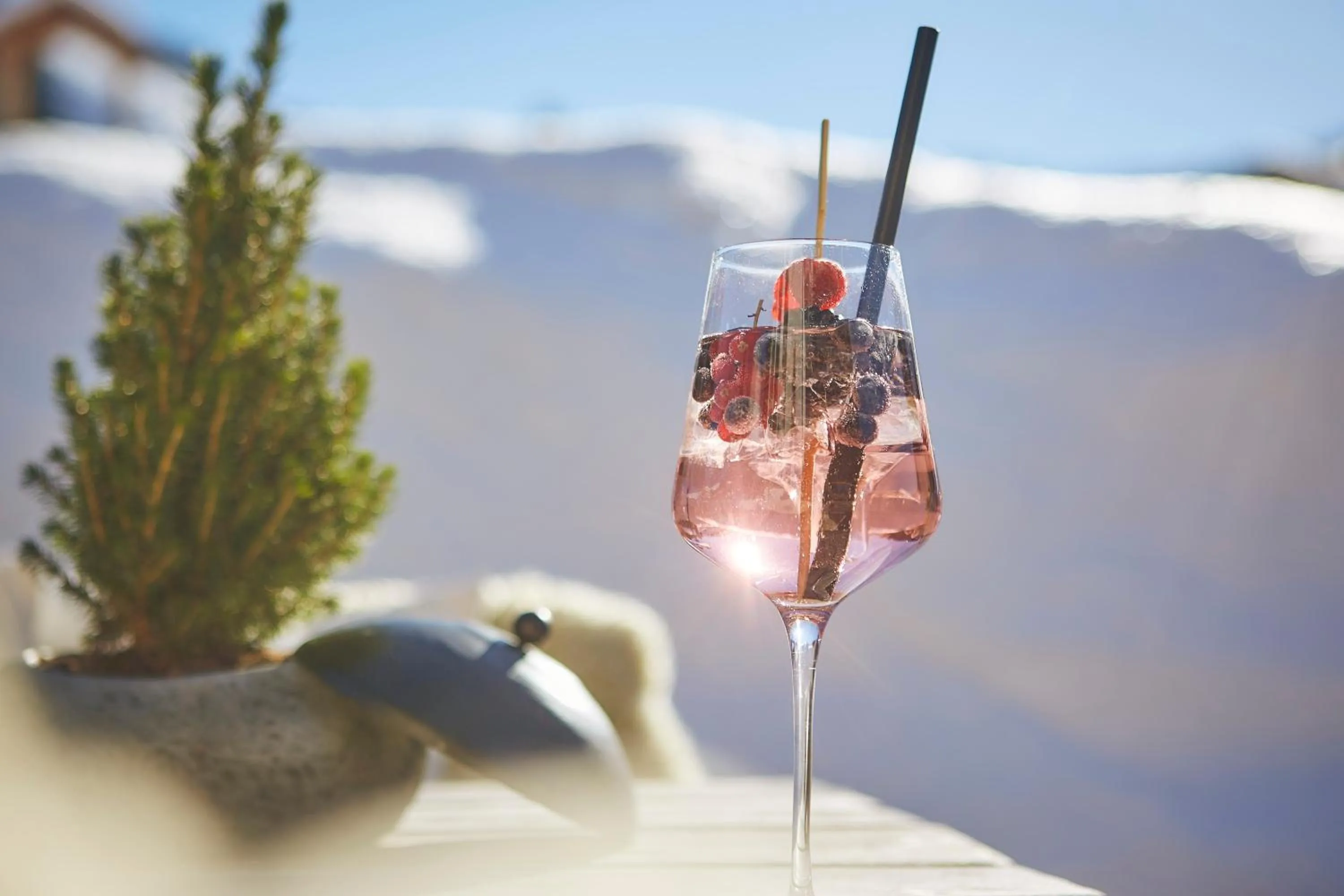 Bauernhof Hotel Oberschwarzach