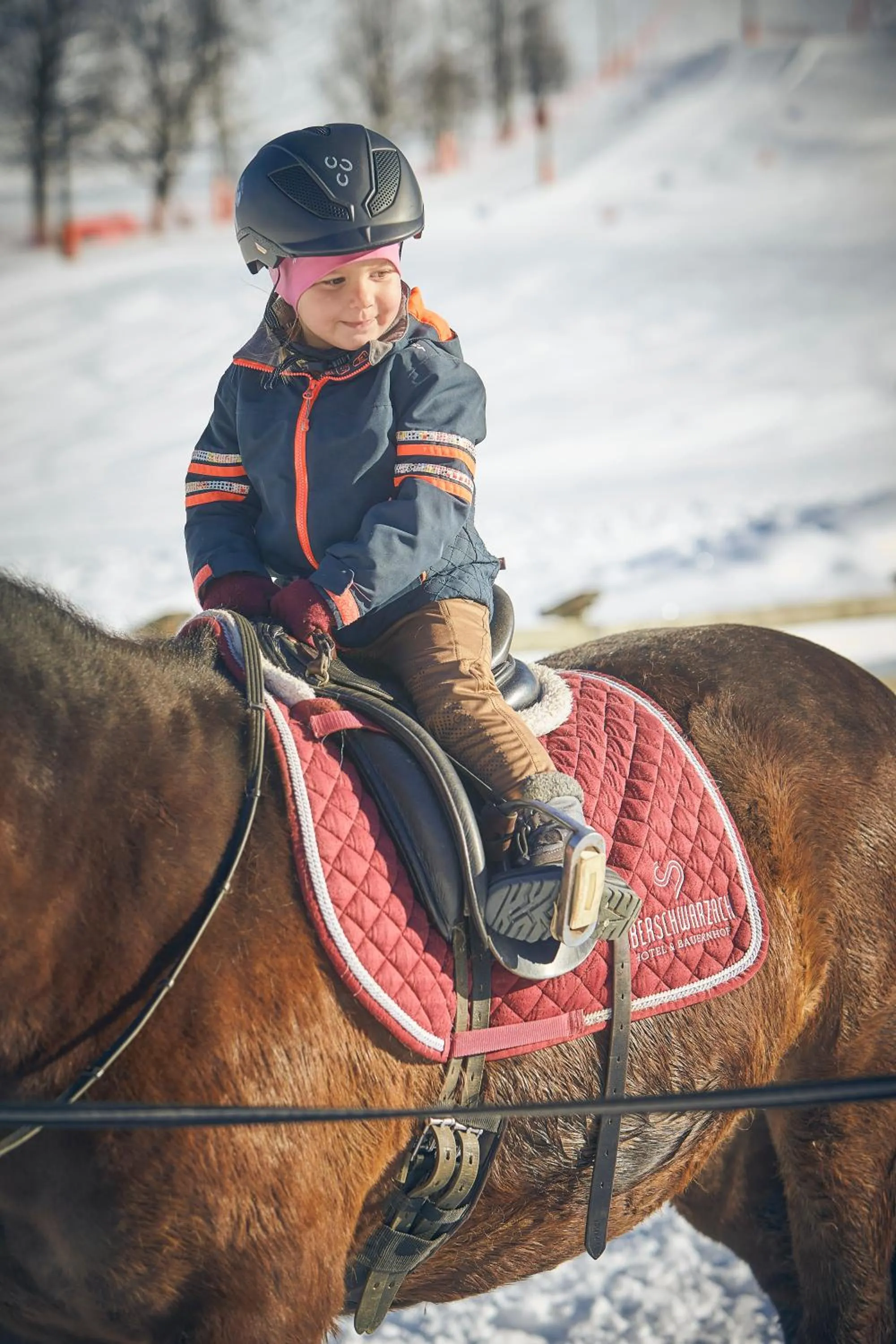 Bauernhof Hotel Oberschwarzach