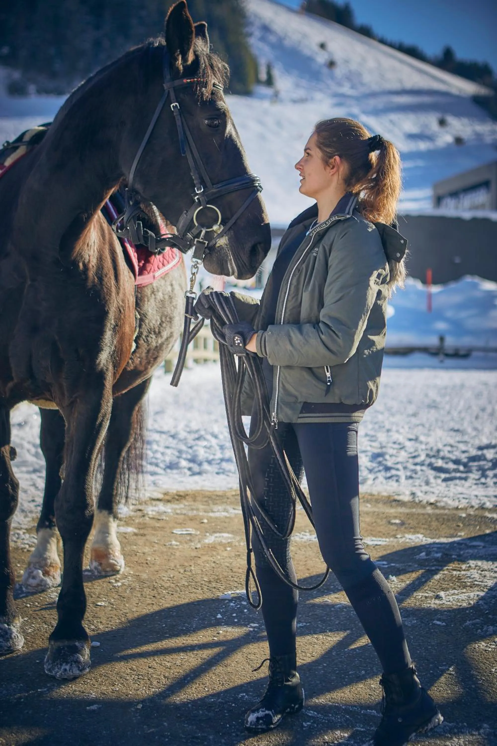 Bauernhof Hotel Oberschwarzach